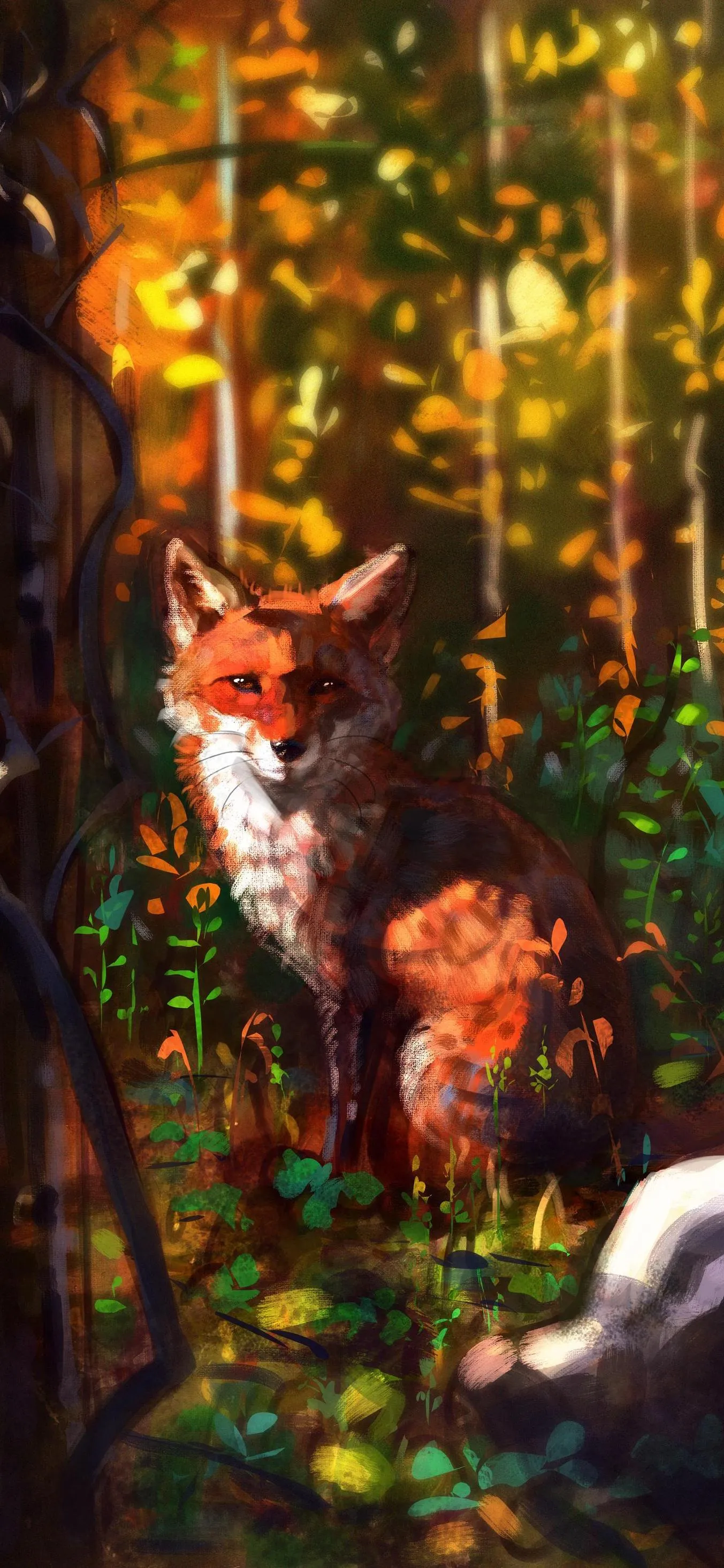 Red Fox Resting Peacefully in a Sunlit Autumn Forest