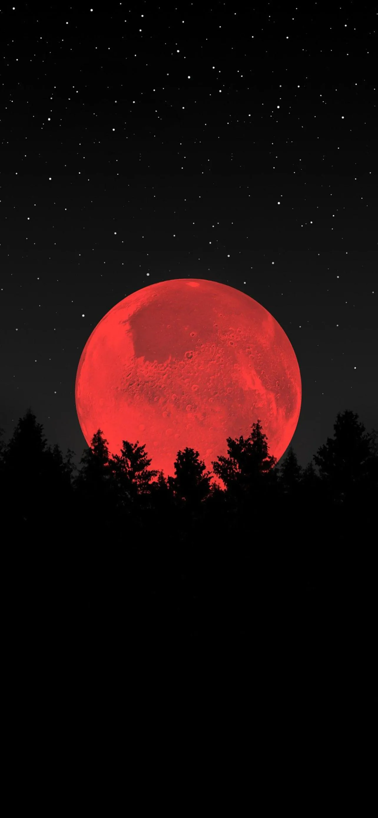 Red Moon Rising Over Dark Forest Night Sky Theme Wallpaper