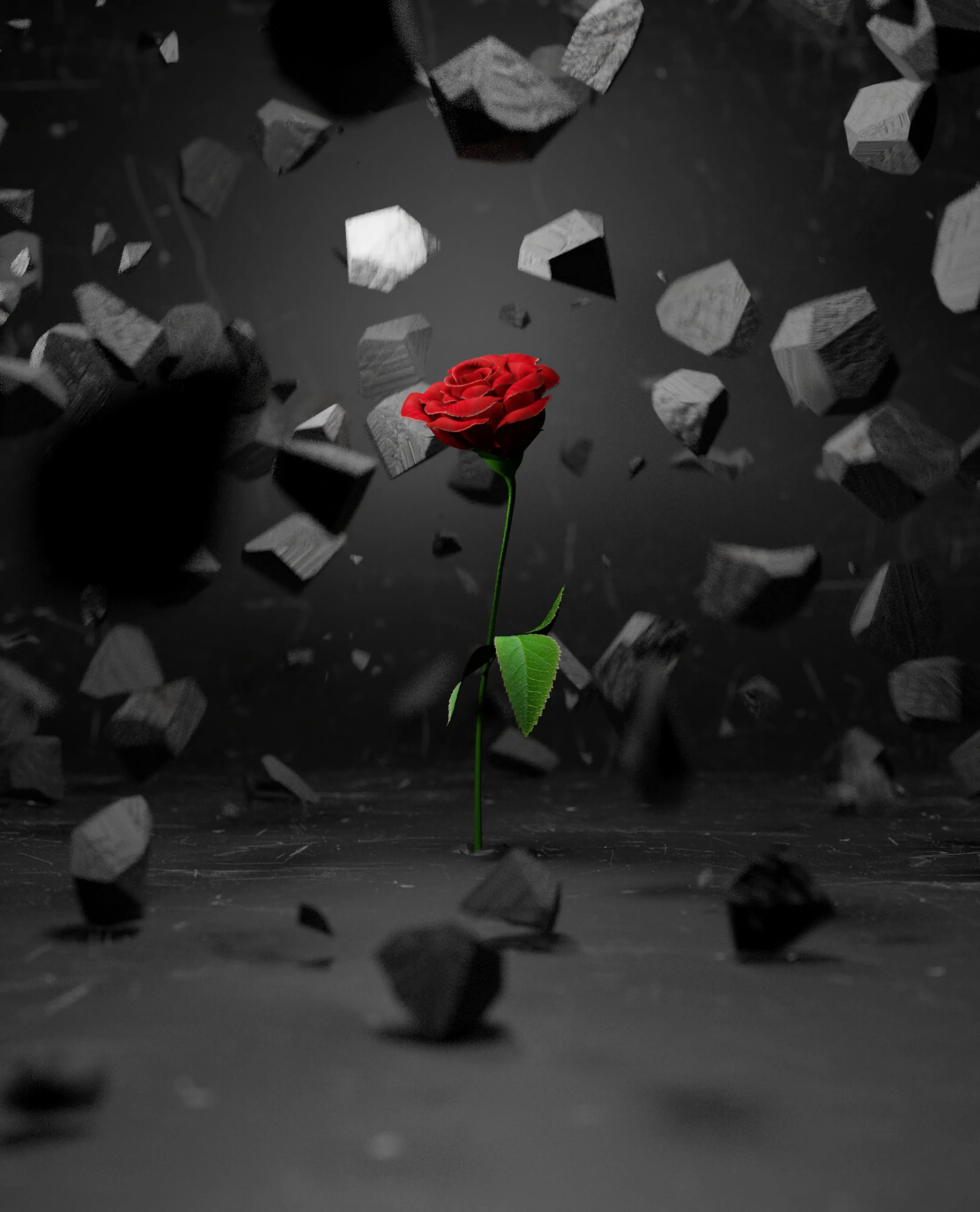Red Rose Emerging Among Floating Black Fragments Wallpaper