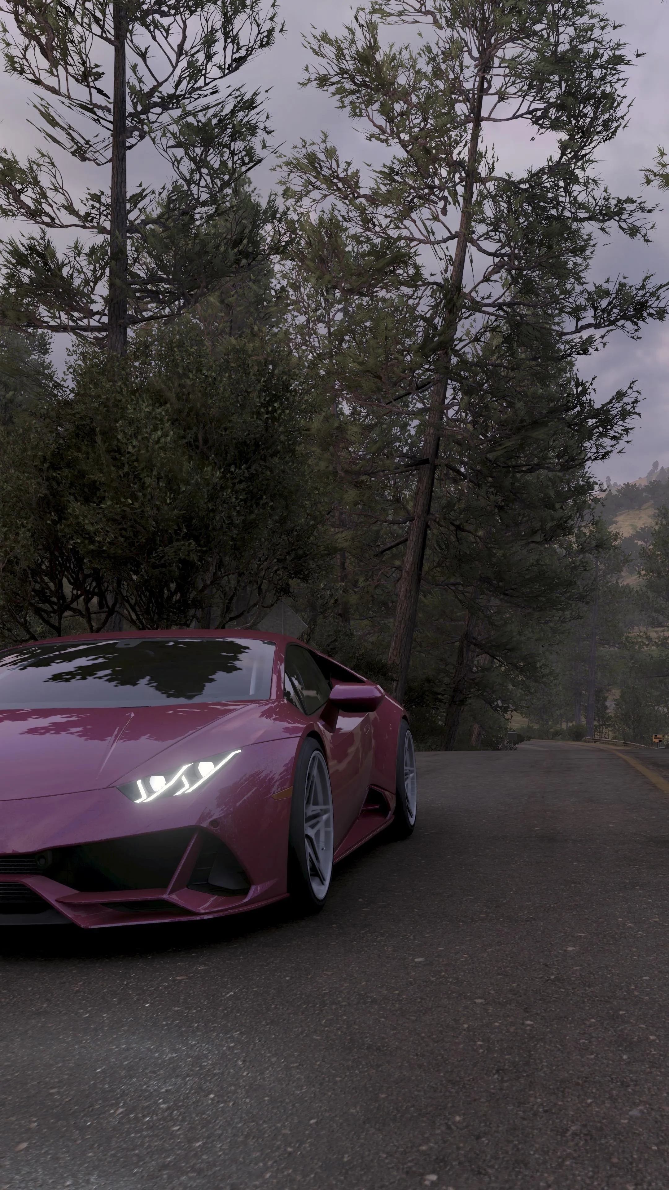 Red Sports Car Driving on Forest Road Among Trees Image