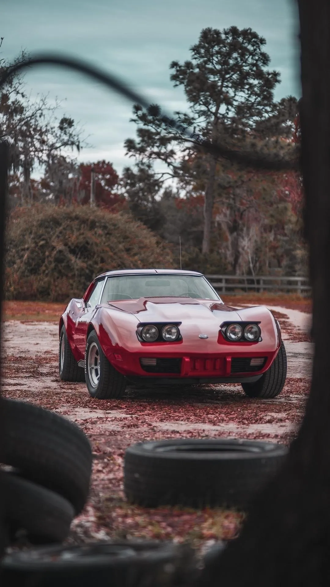 Red Sports Car in Autumn Driveway Modern Automotive Look