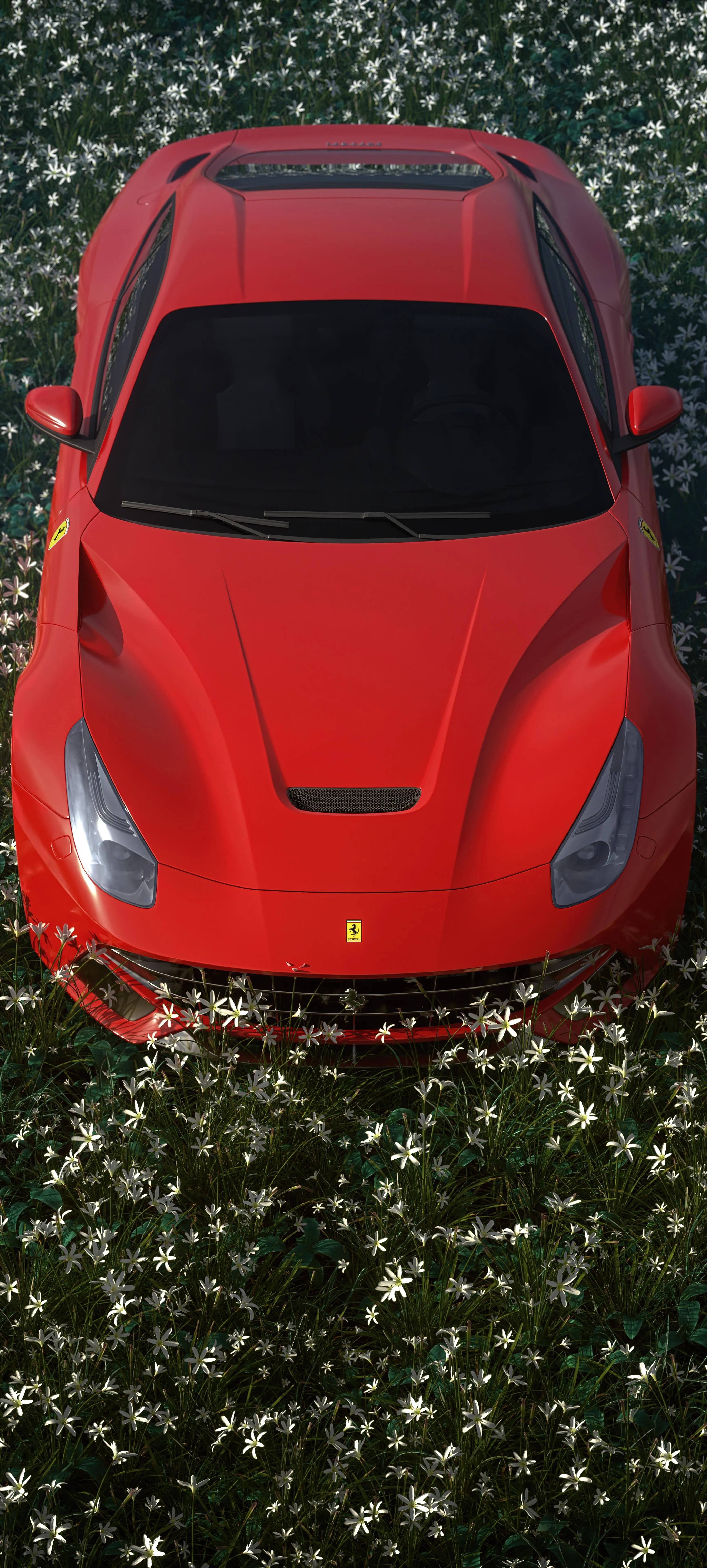 Red Sports Car in Field of Green Plants from Above Iphone Pic