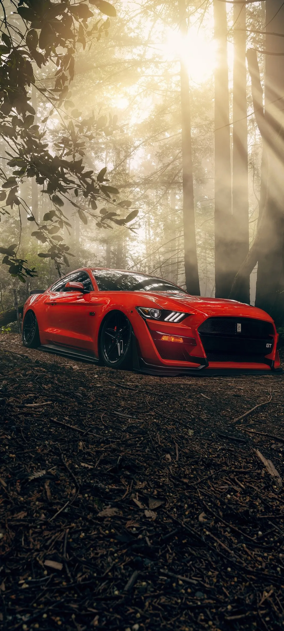 Red Sports Car in Forest with Golden Sunlight Rays Wallpaper