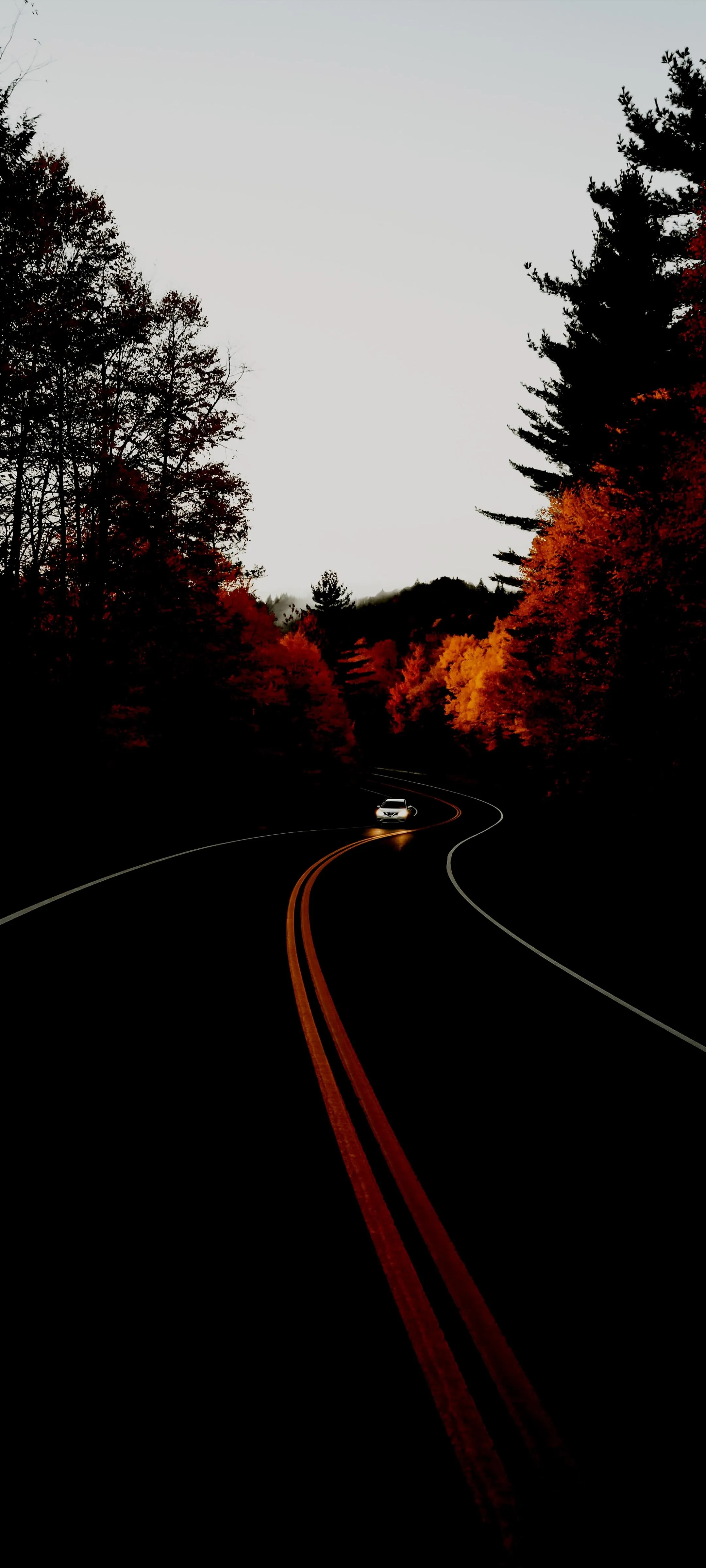 Road Through Forest at Sunset Minimal Travel Scene Wallpaper