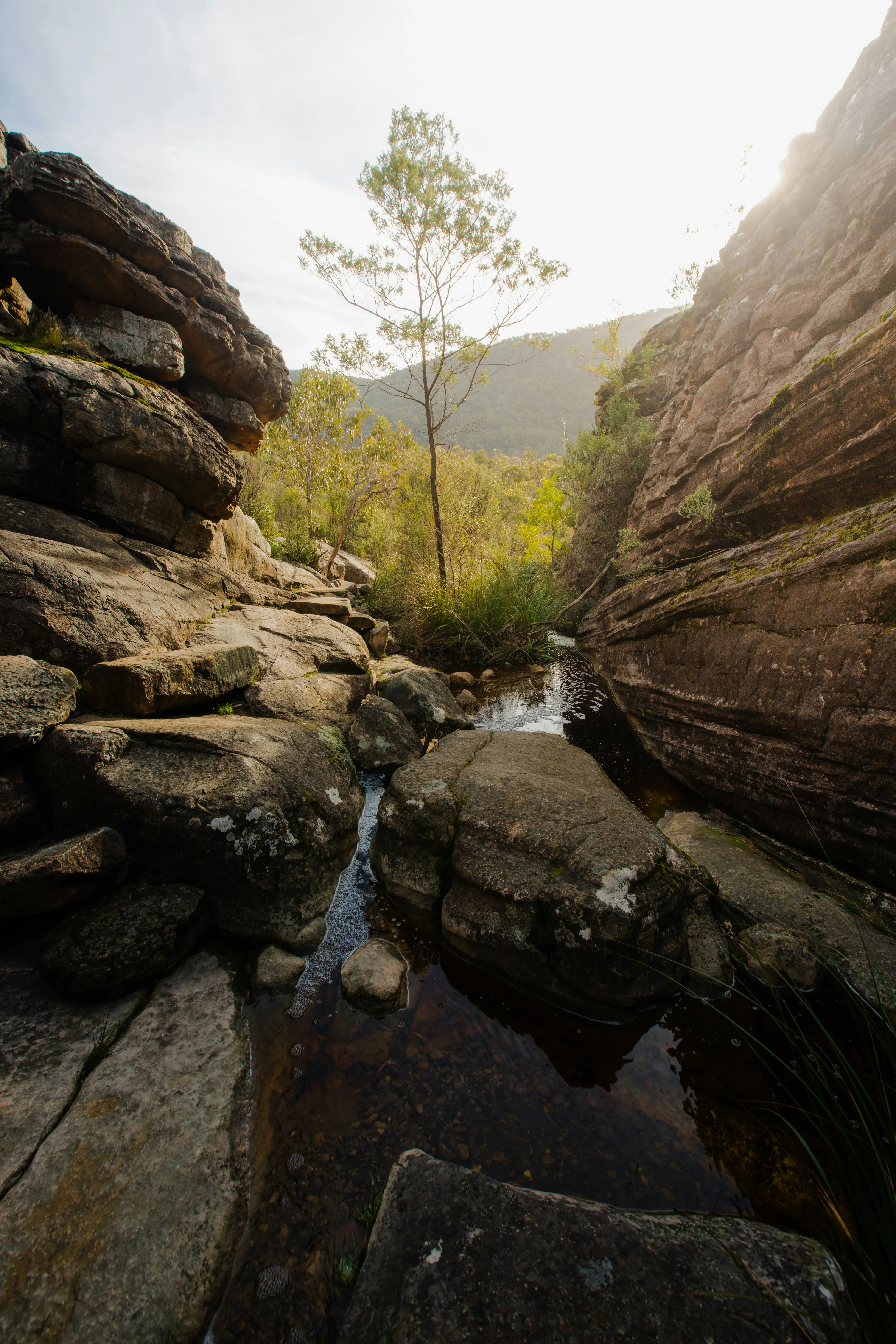 Rocky Canyon with Flowing Stream Under Sunlight Wallpaper