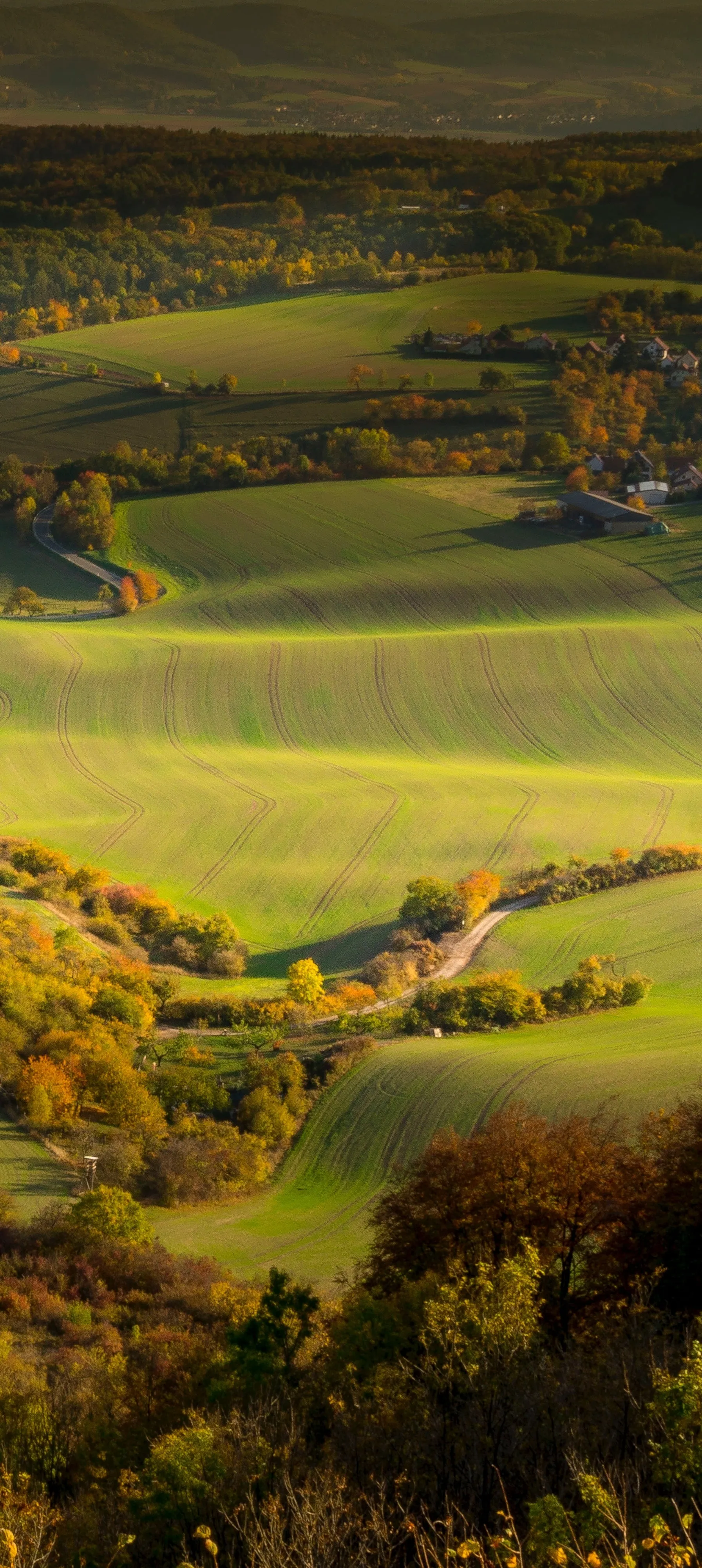 Rolling Green Hills with Sunlight and Shadows Wallpaper