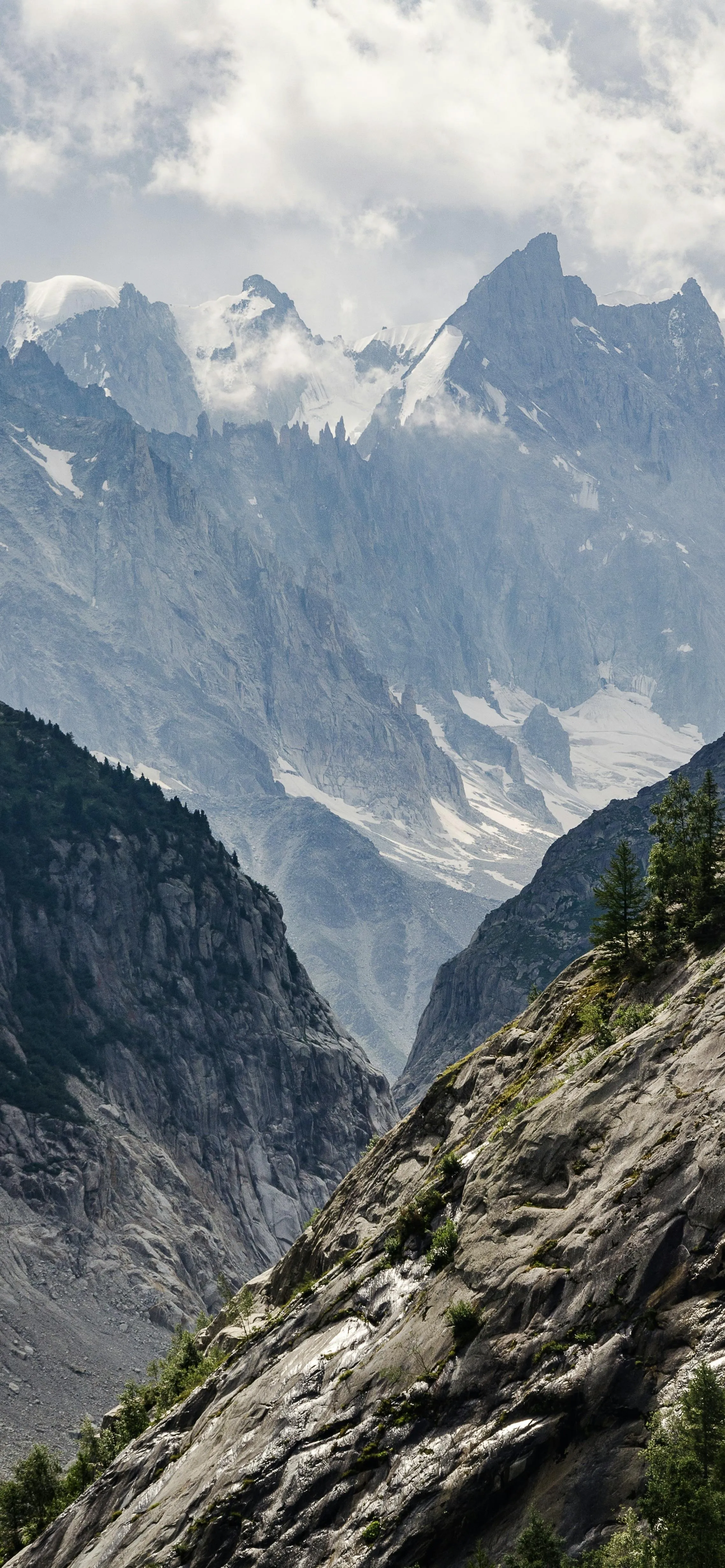 Rugged Mountain Trail with Mist and Pine Trees Image
