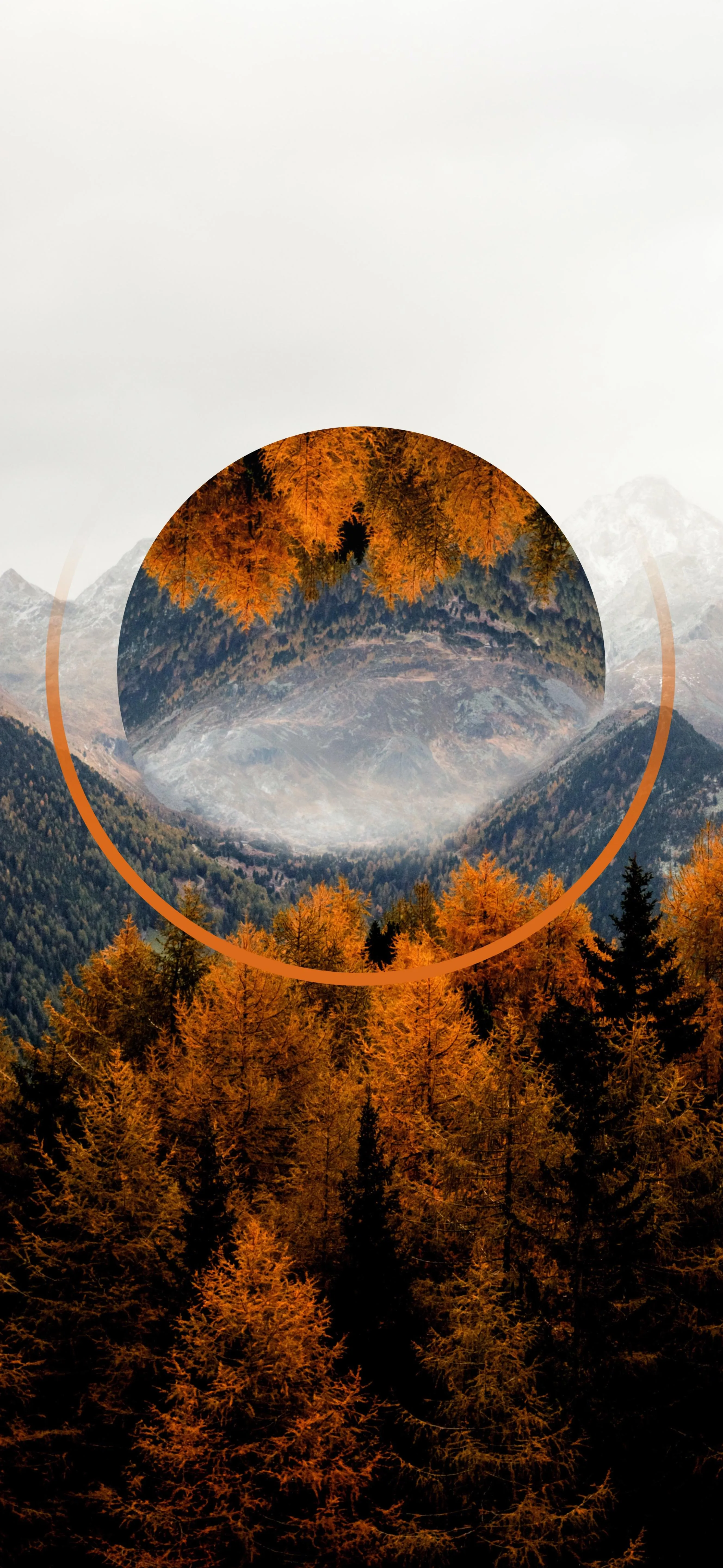 Scenic Autumn Forest with Mountains in Circular Frame