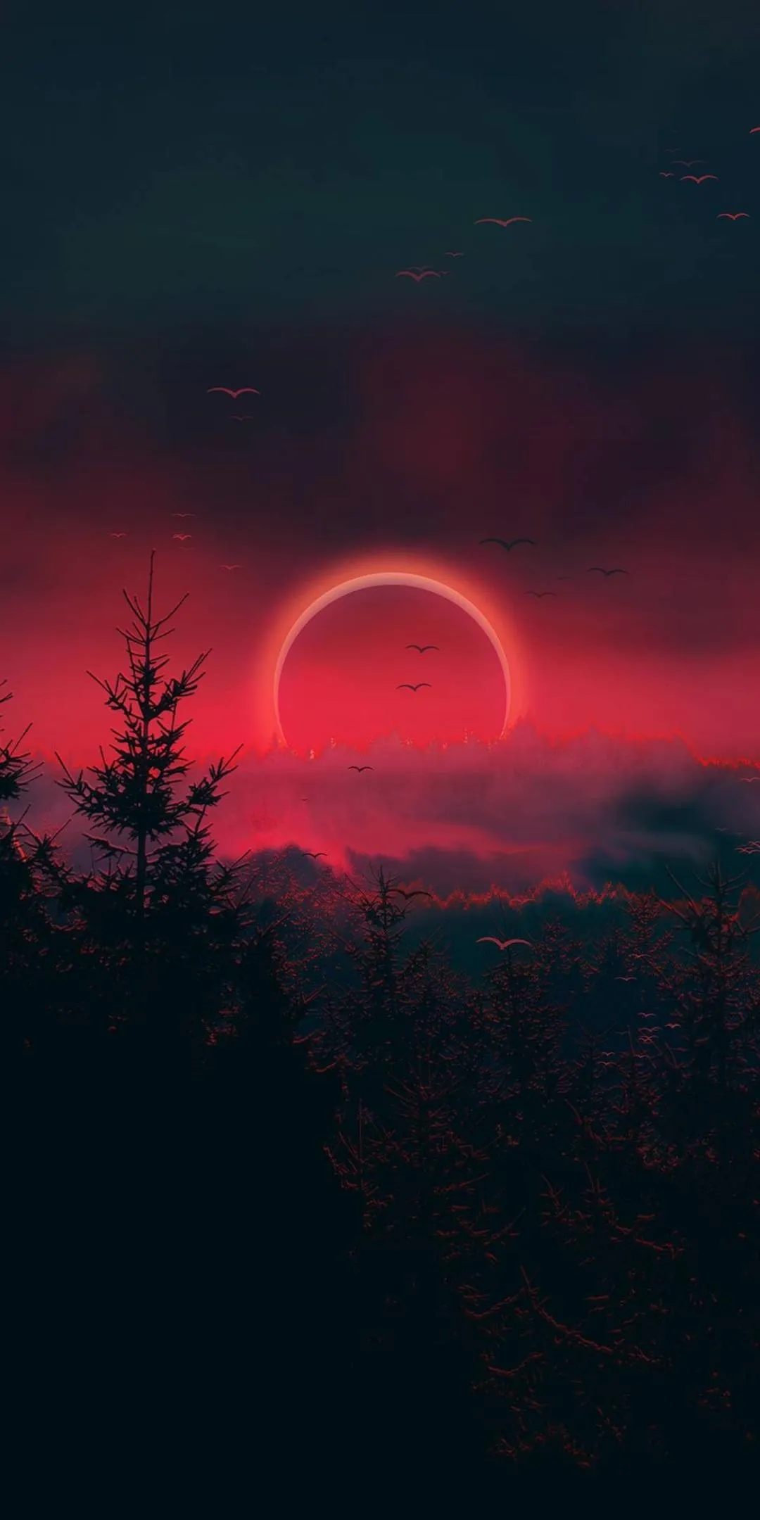 Scenic Red Sunset Over Misty Pine Forest Wallpaper