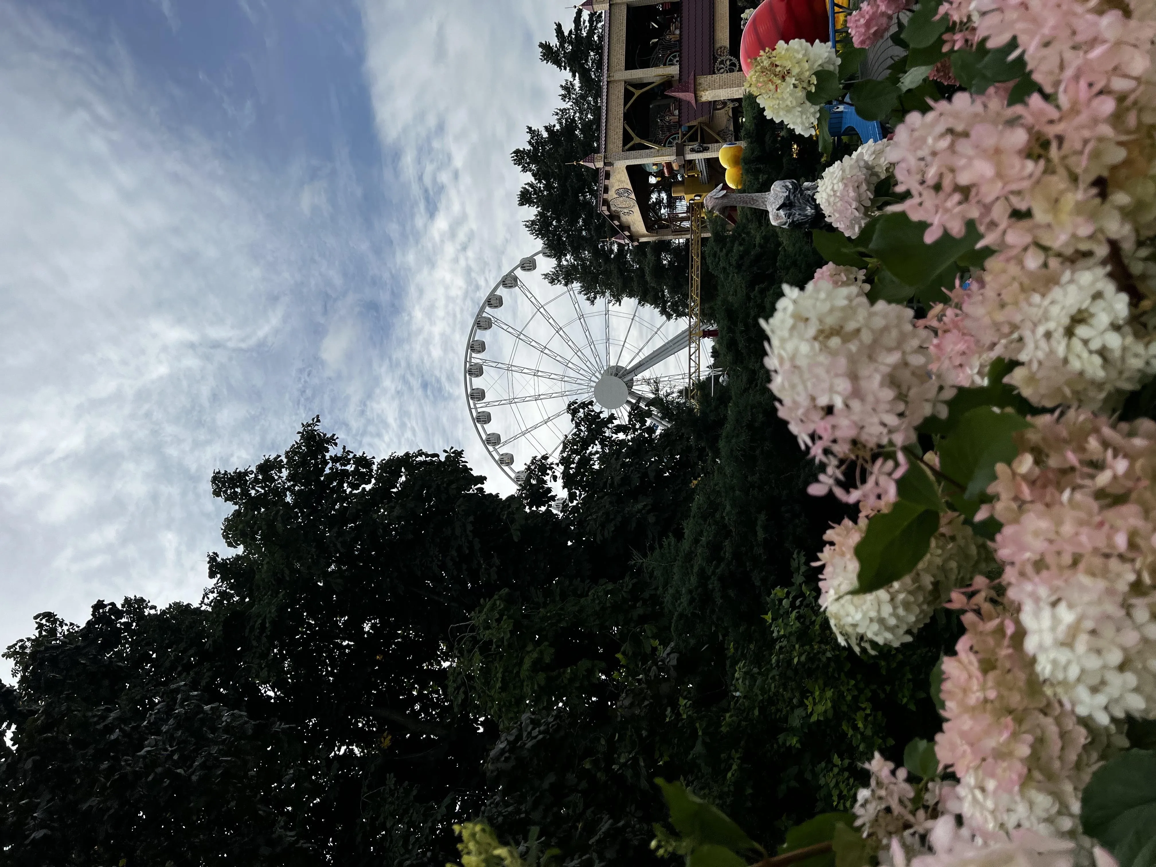 Scenic View of Flowers and Ferris Wheel Under a Blue Sky