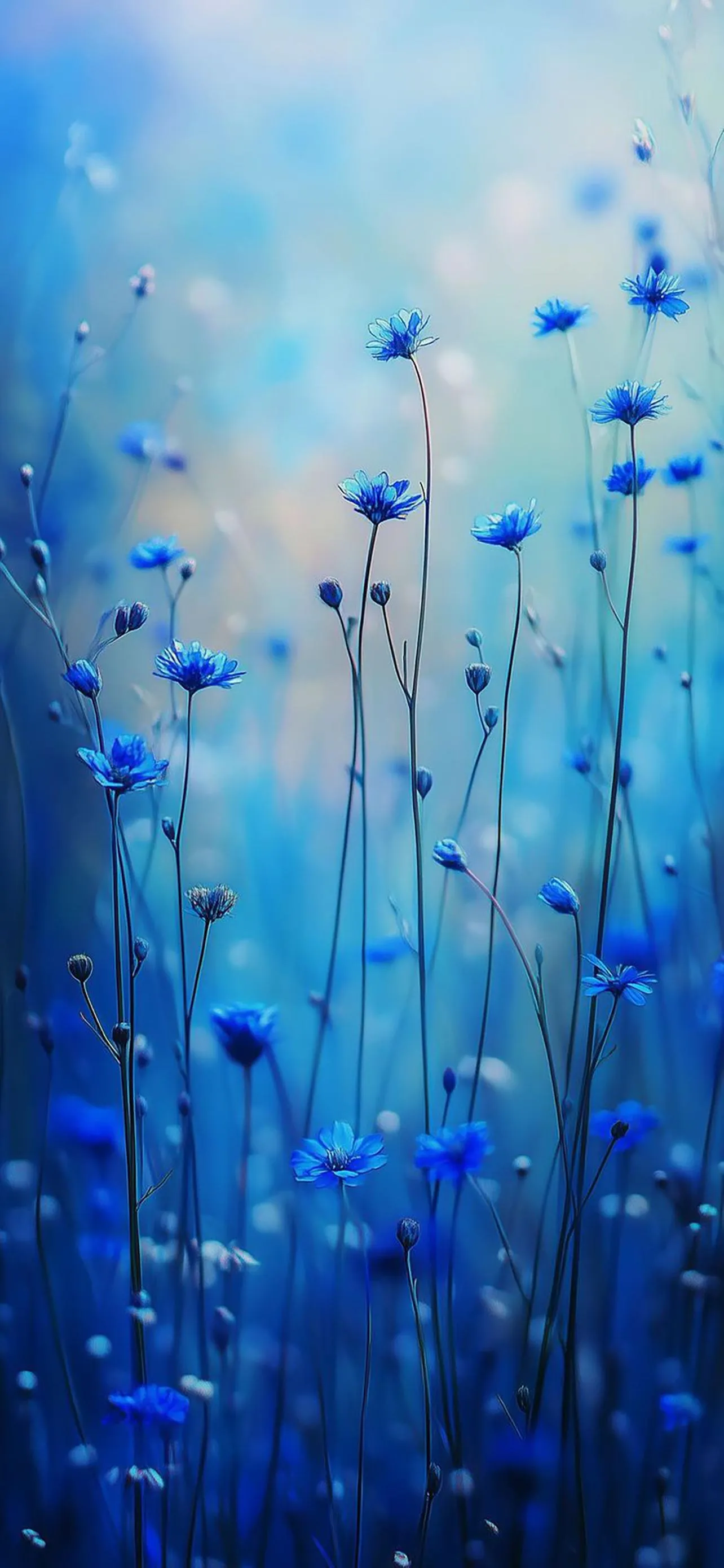 Serene Blue Wildflowers Blooming in a Peaceful Meadow