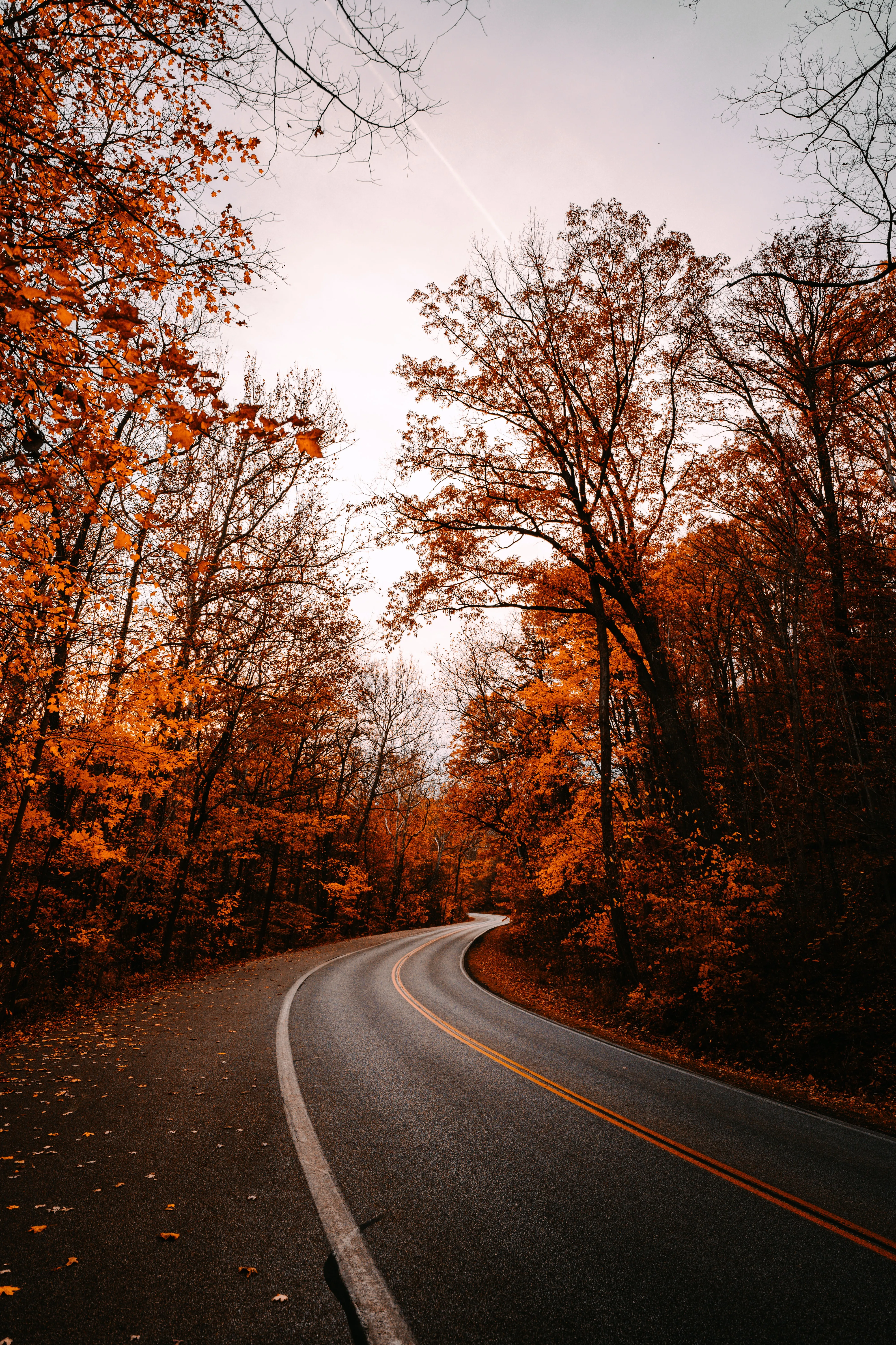 Serene Country Road with Sunset Autumn Glow Wallpaper