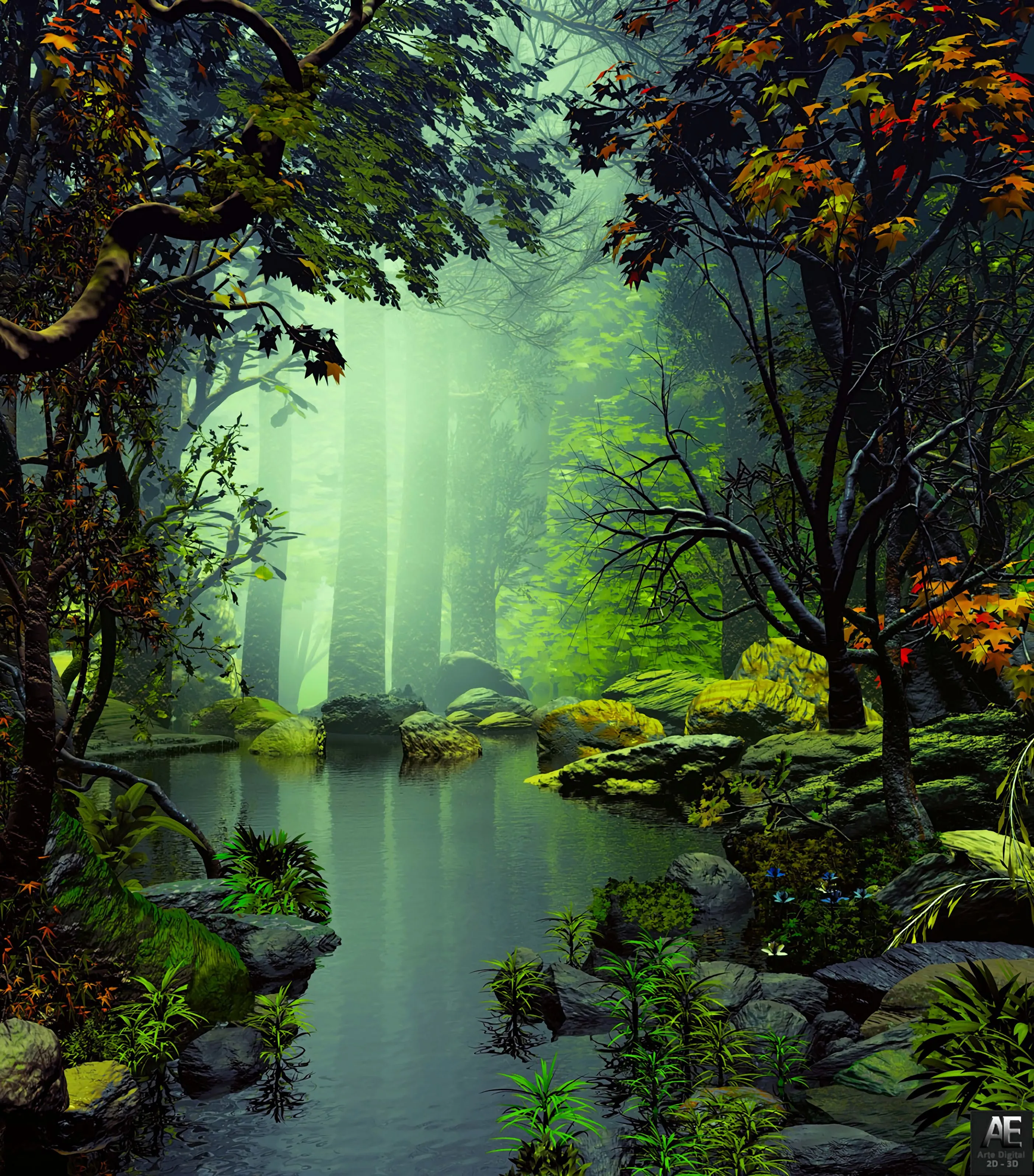 Serene Forest Stream Surrounded by Tall Trees Photography
