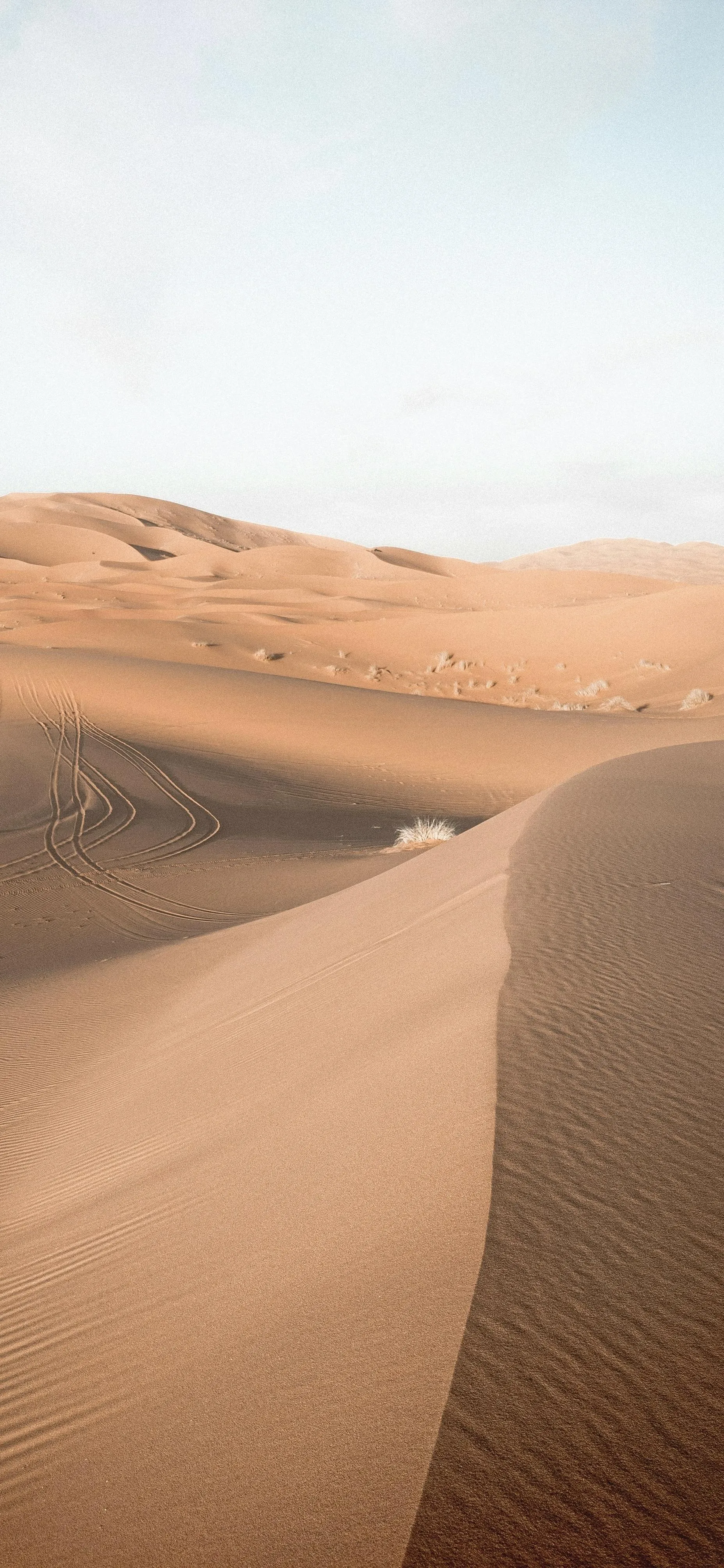 Serene Golden Sand Dunes Under Clear Sky in The Desert