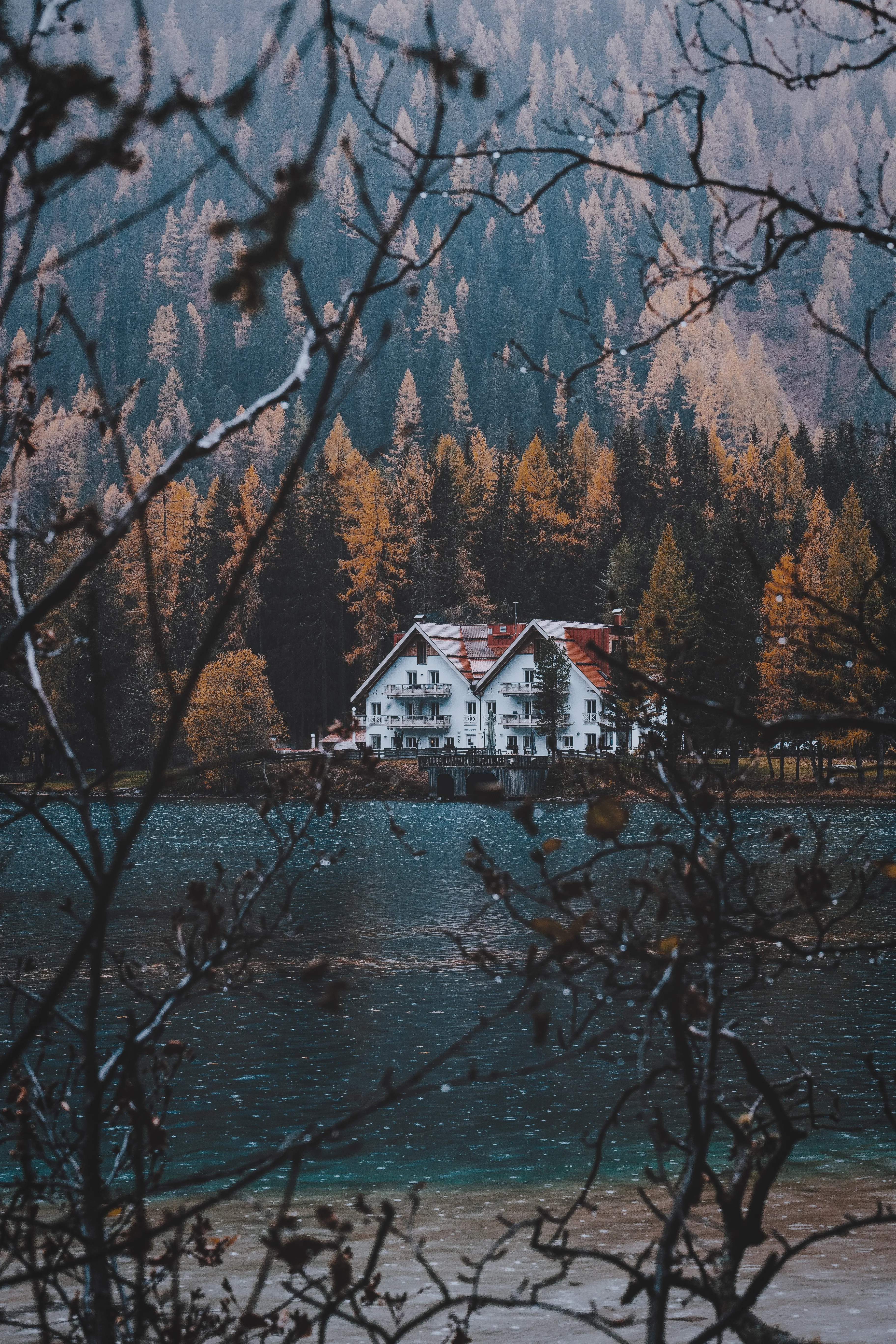 Serene Lake House Surrounded by Autumn Forest Image