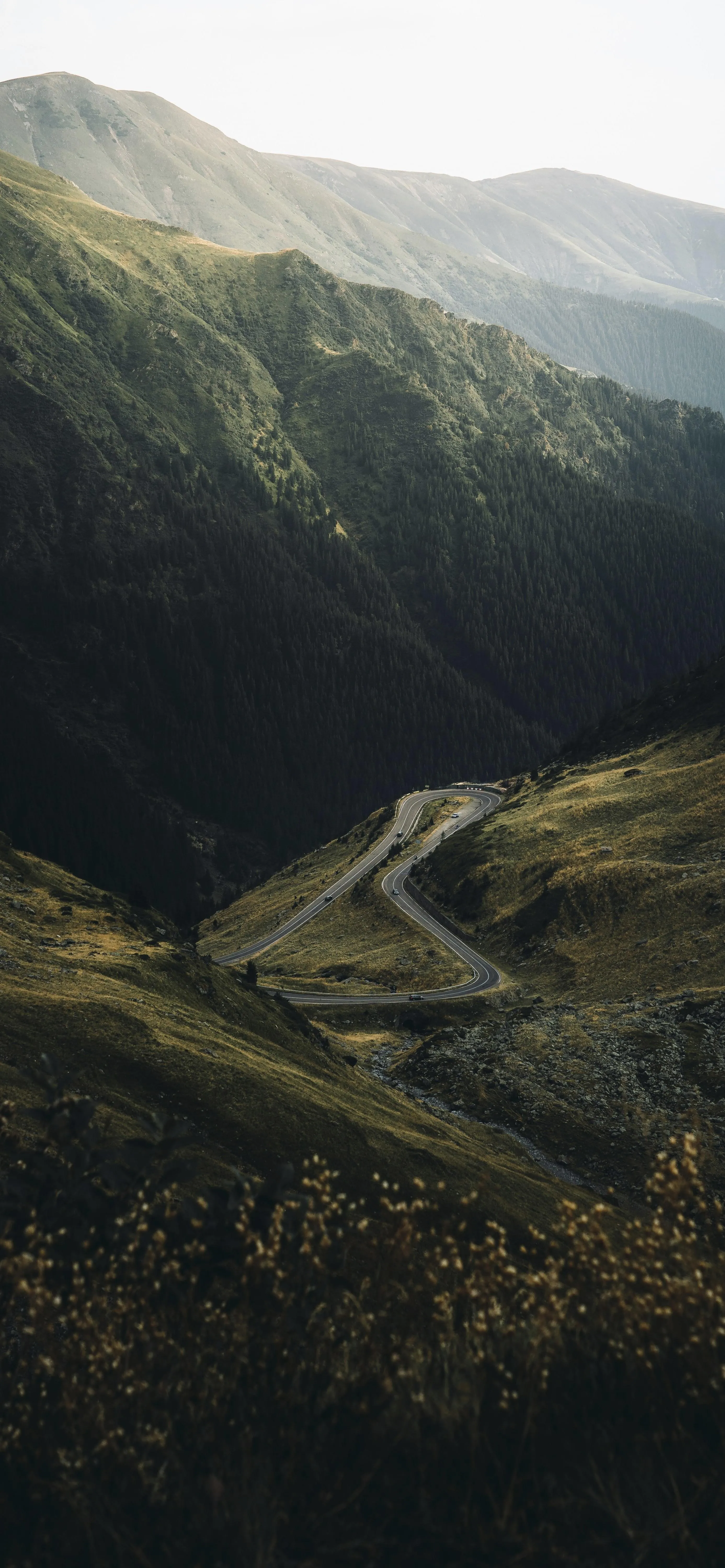 Serene Mountain Road with Green Hills and Mist Wallpaper