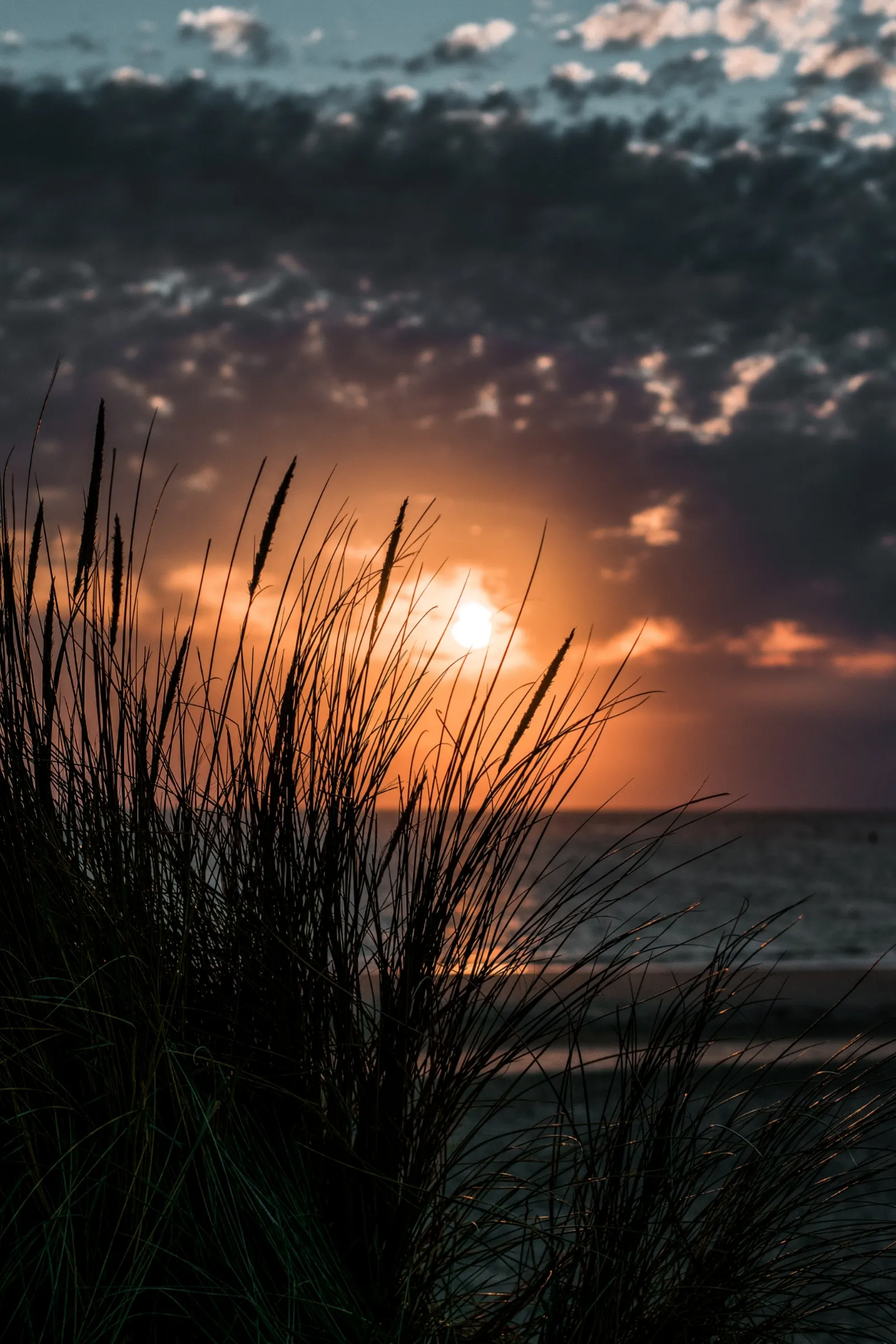 Serene Sunset Over Coastal Grassland with Dark Cloud Cover