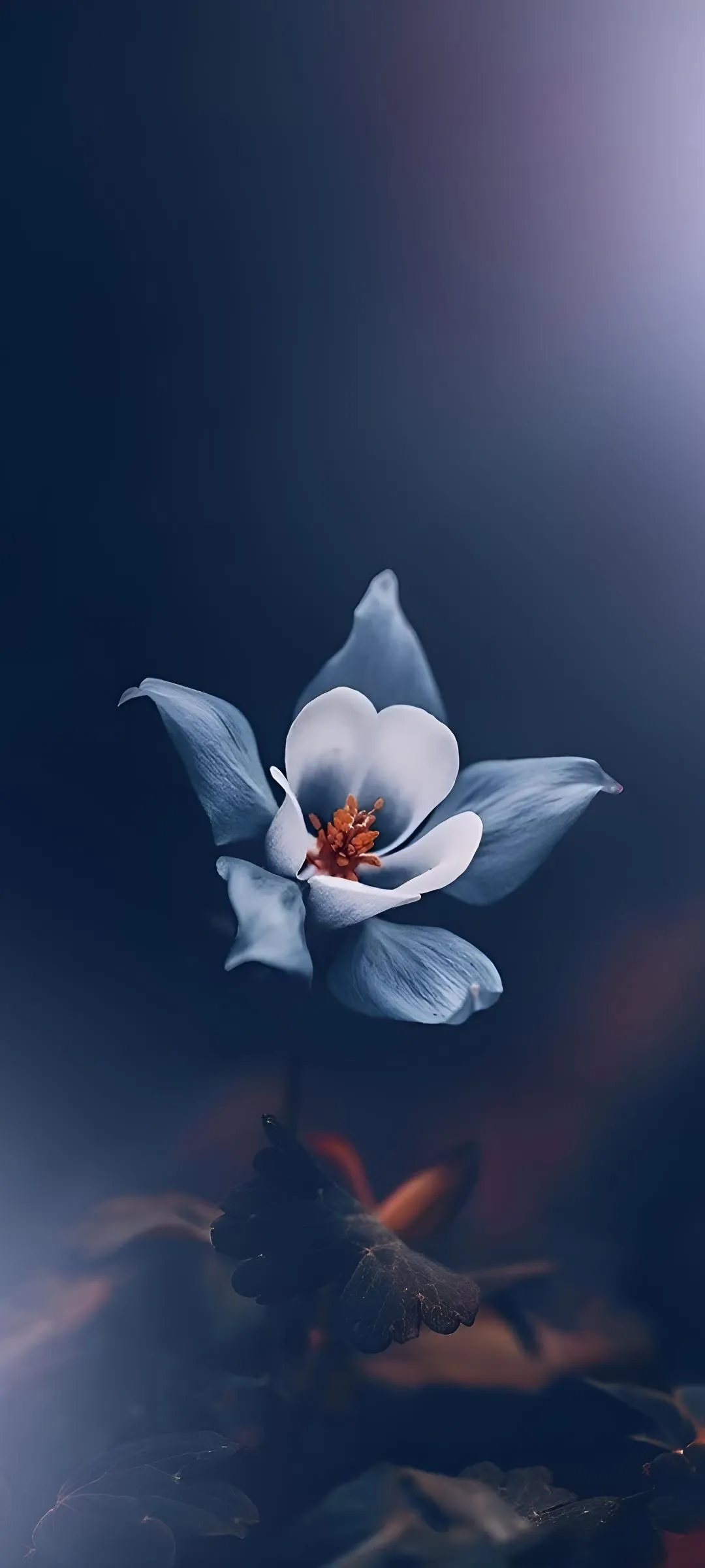 Serenity of a Blue Blossom in Gentle Evening Light