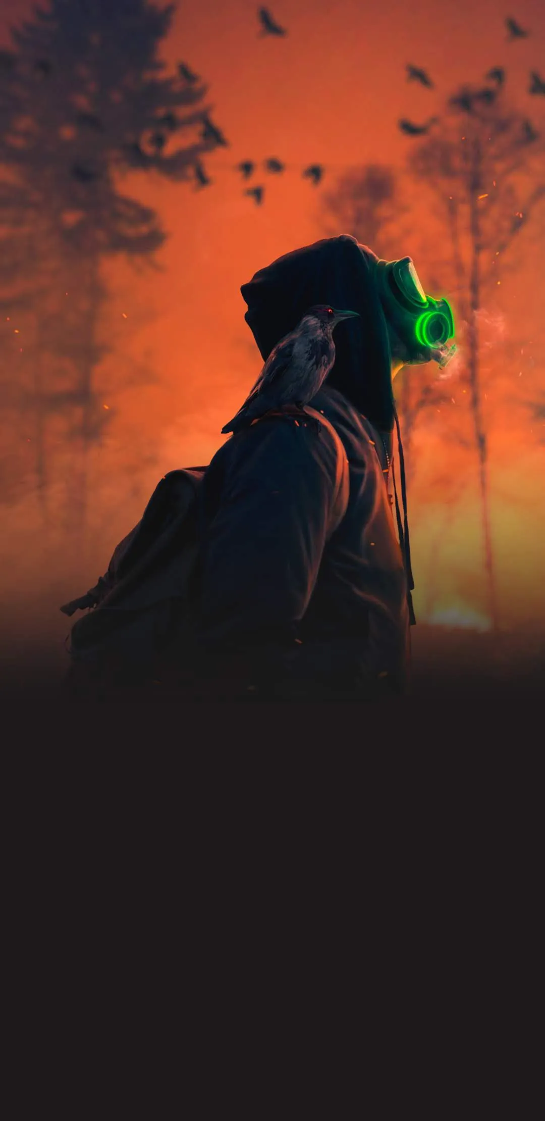 Silhouette Explorer in Orange Forest Dreamy Art Wallpaper