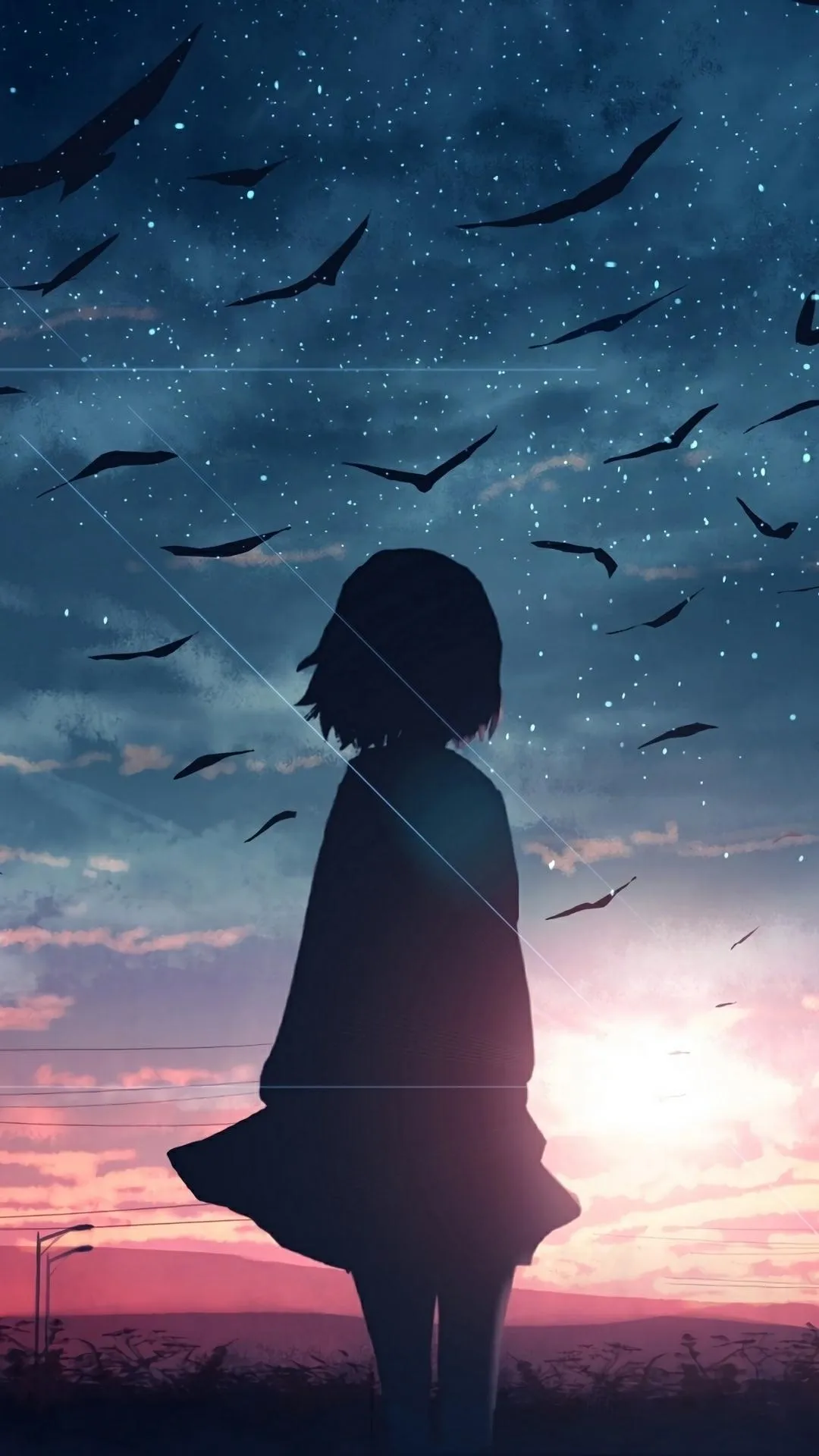 Silhouette Girl Watching Birds at Twilight Wallpaper