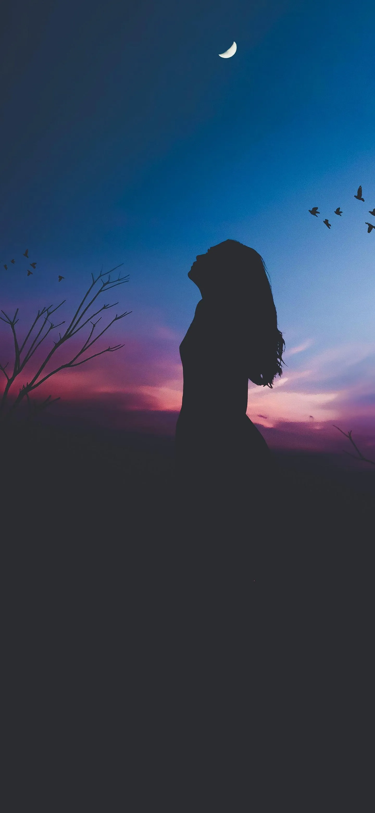 Silhouette of a Girl Under Twilight Blue Evening Sky