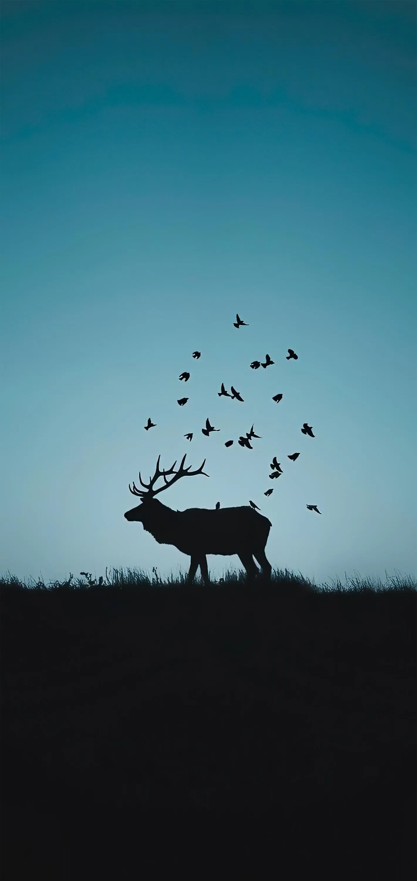 Silhouette Of Deer Under Tree Minimal Nature Scene