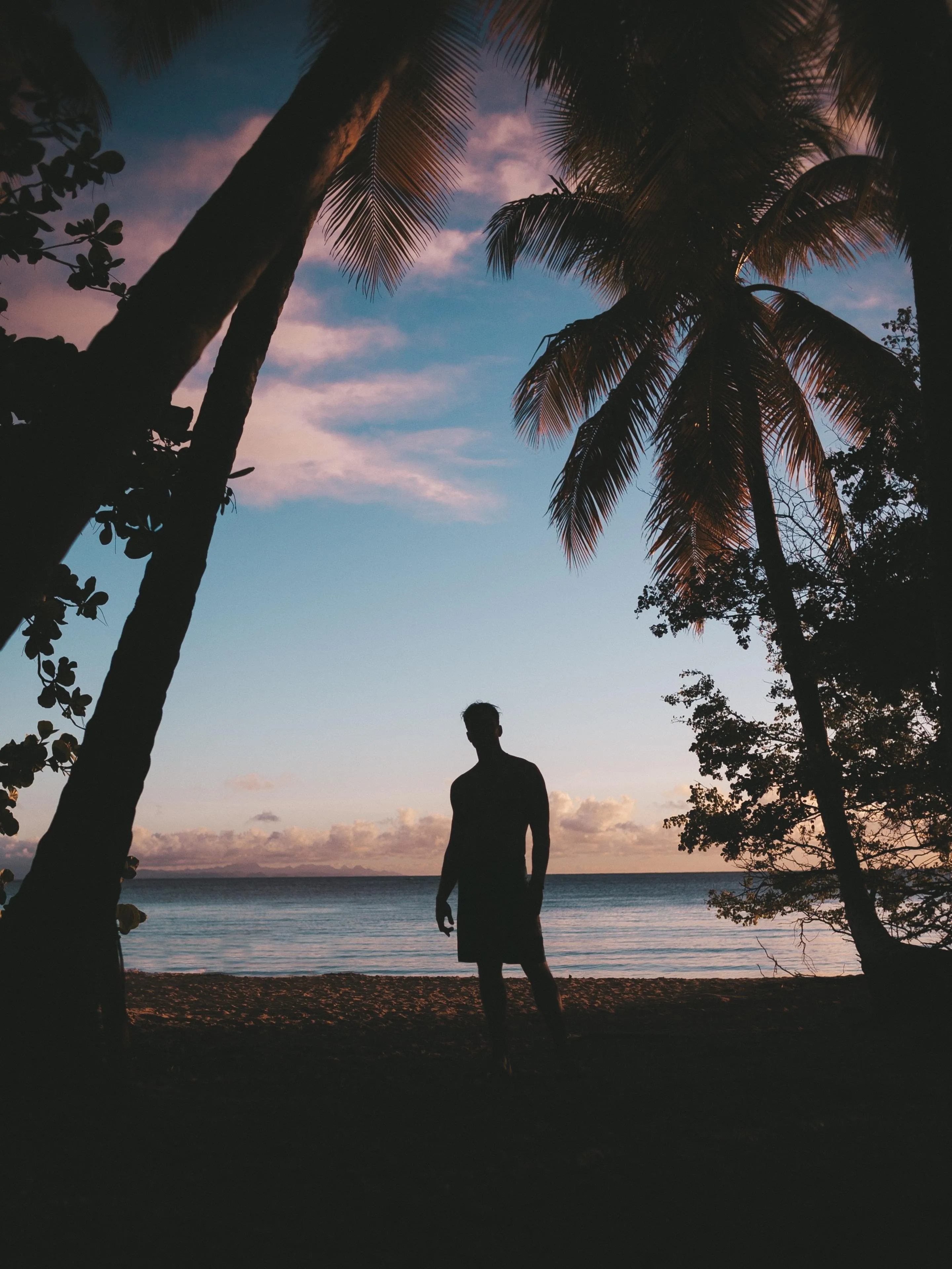 Silhouette of Man Standing by Palm Trees at Sunset Wallpaper