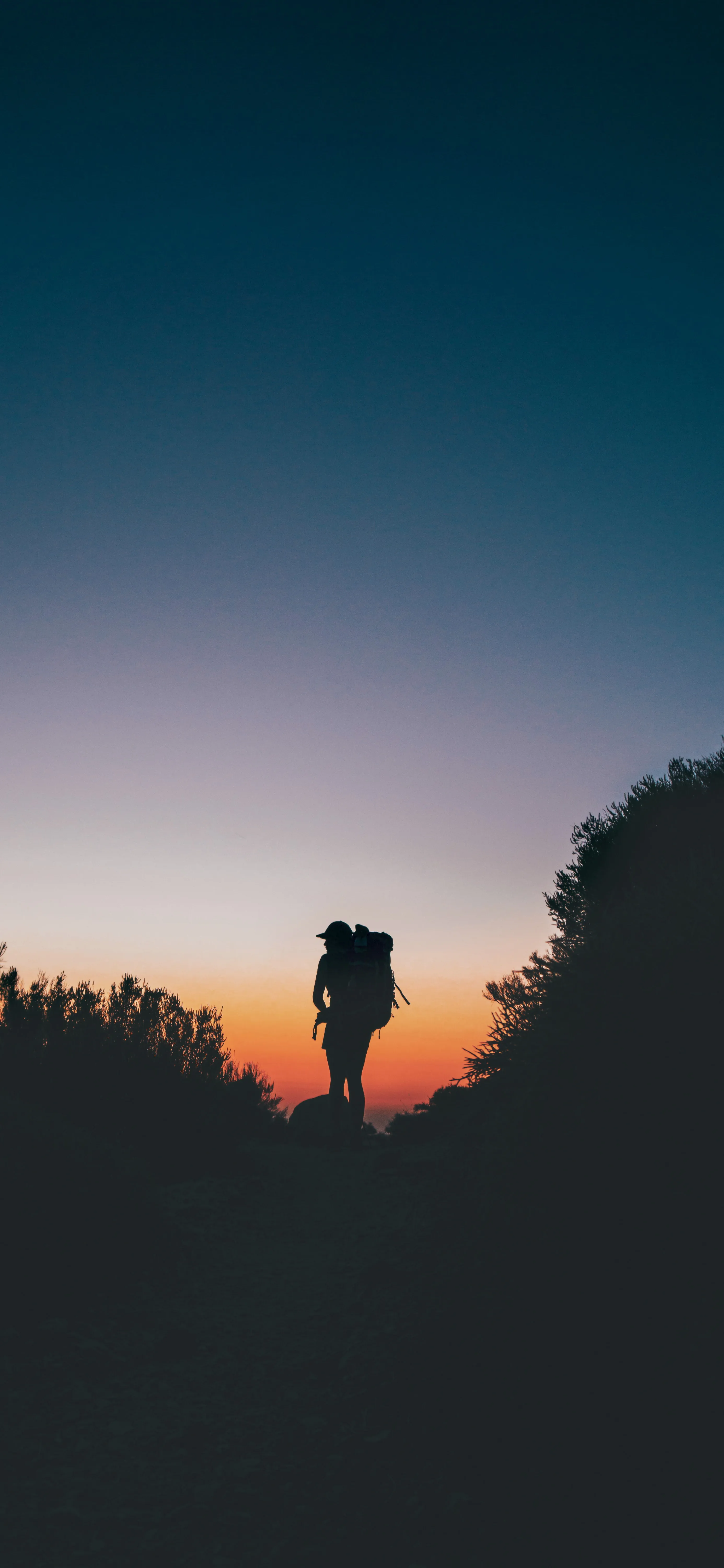 Silhouette of Person Walking at Sunset in Open Field Image