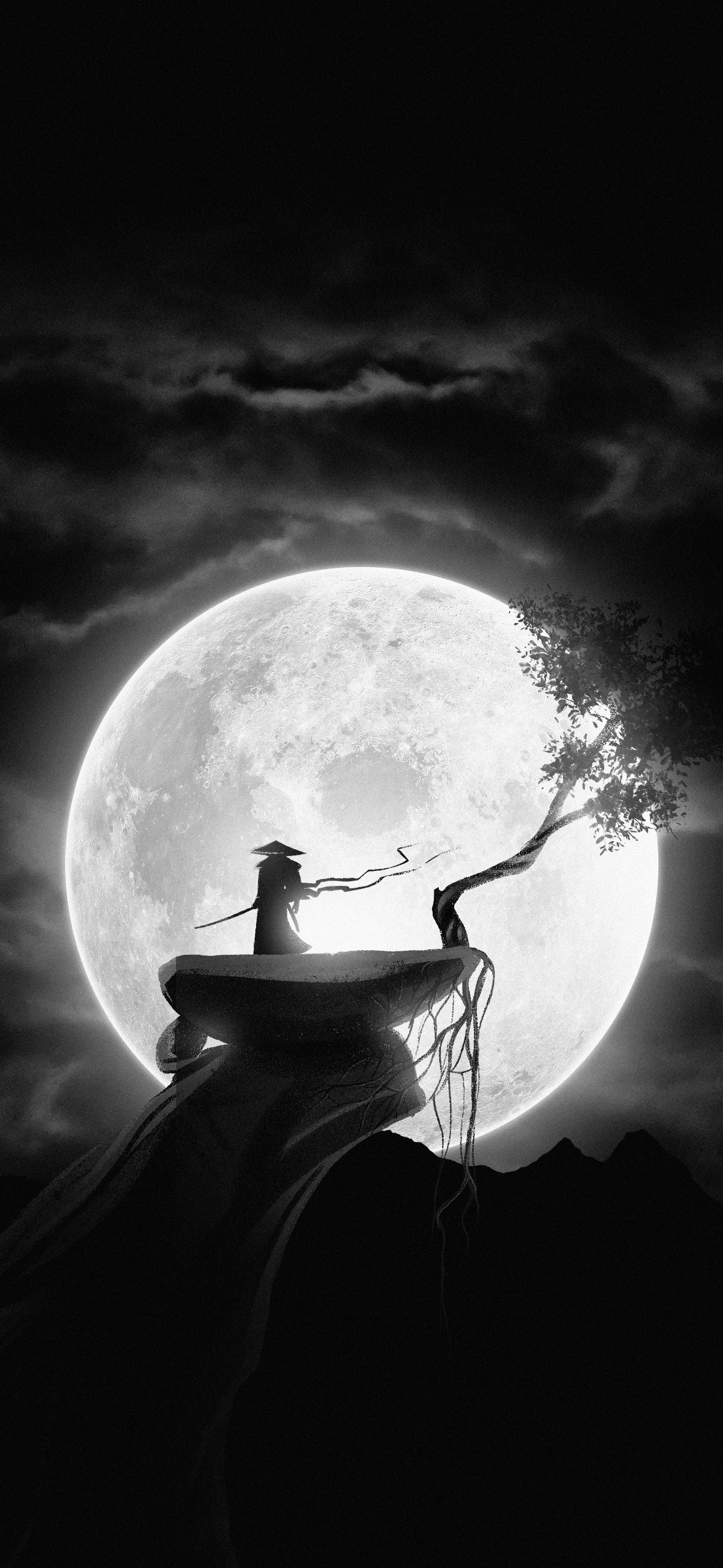 Silhouette Standind on Moon Gazing into Night Sky Image