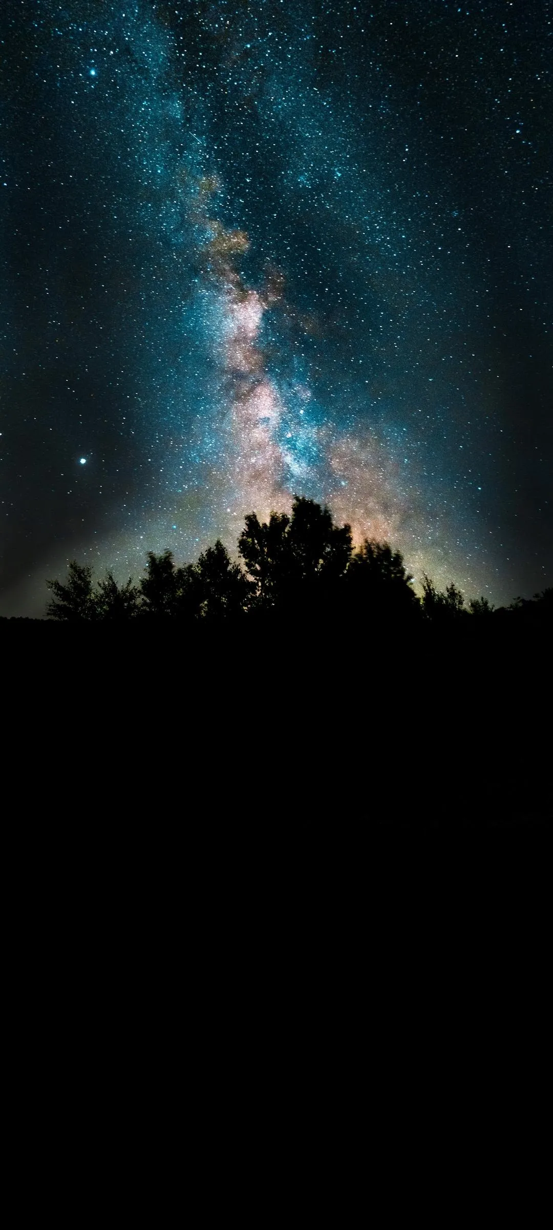 Silhouetted Forest and Stars in Peaceful Night Sky Wallpaper