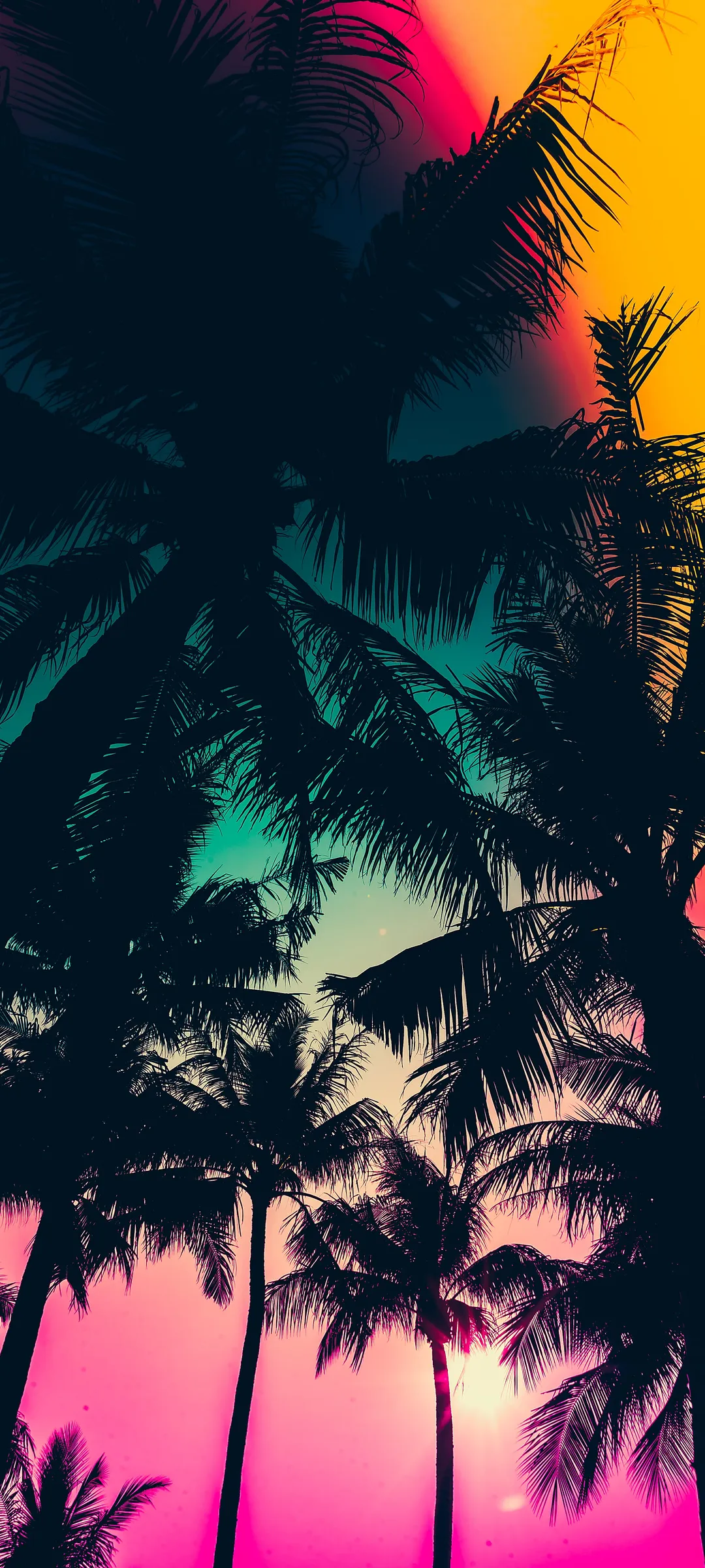 Silhouettes of Palm Trees Against a Colorful Sunset Sky