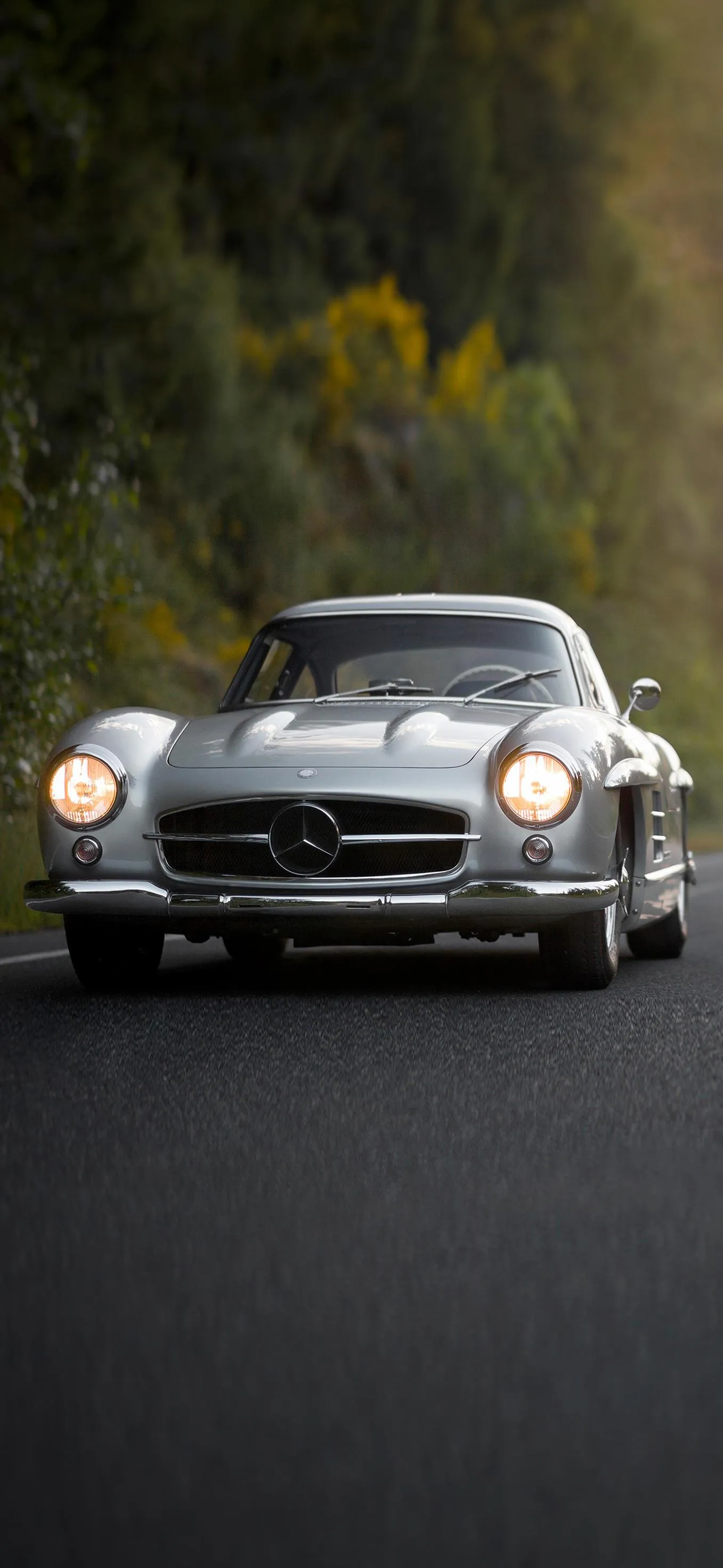 Silver Sports Car on a Road with Forest Background