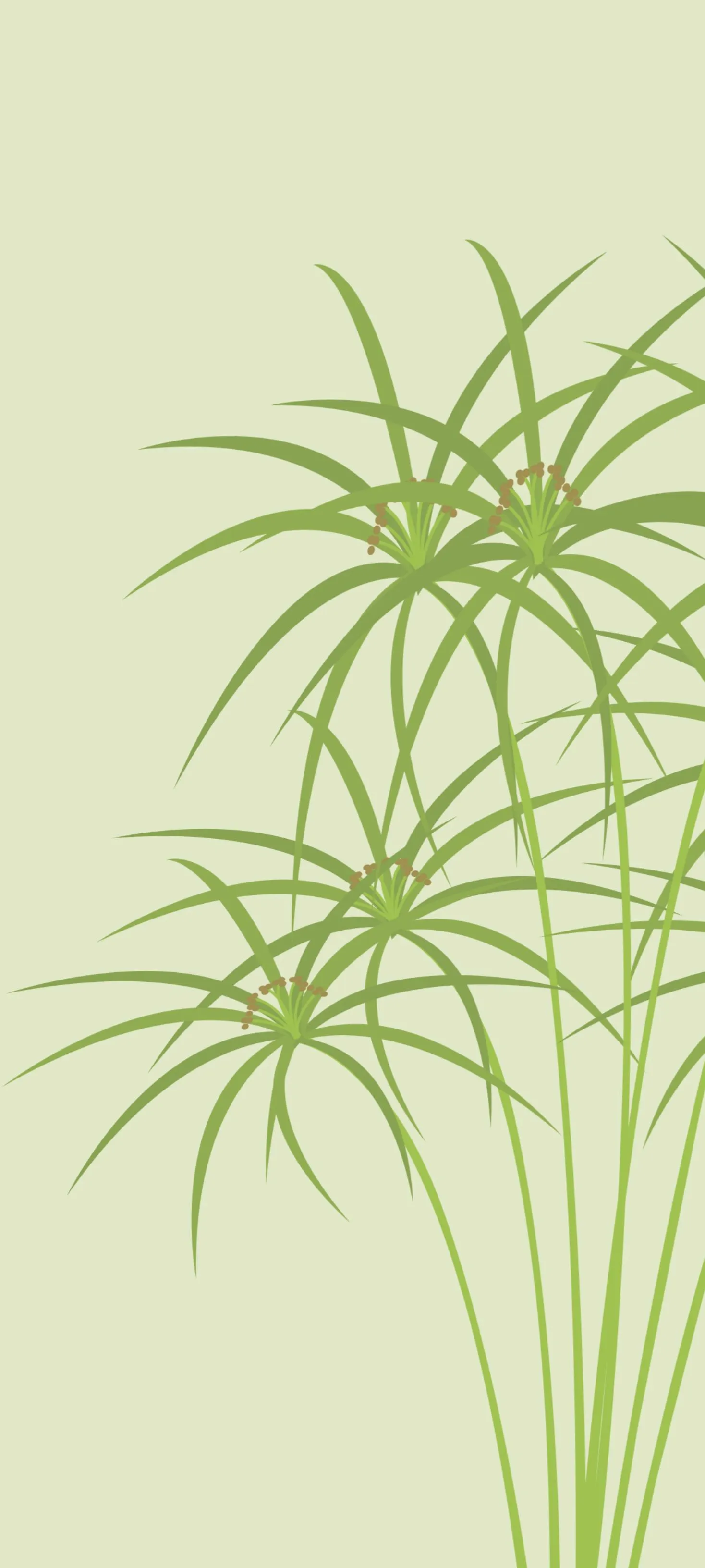 Simple Bamboo Plant Art With Beige Natural Background