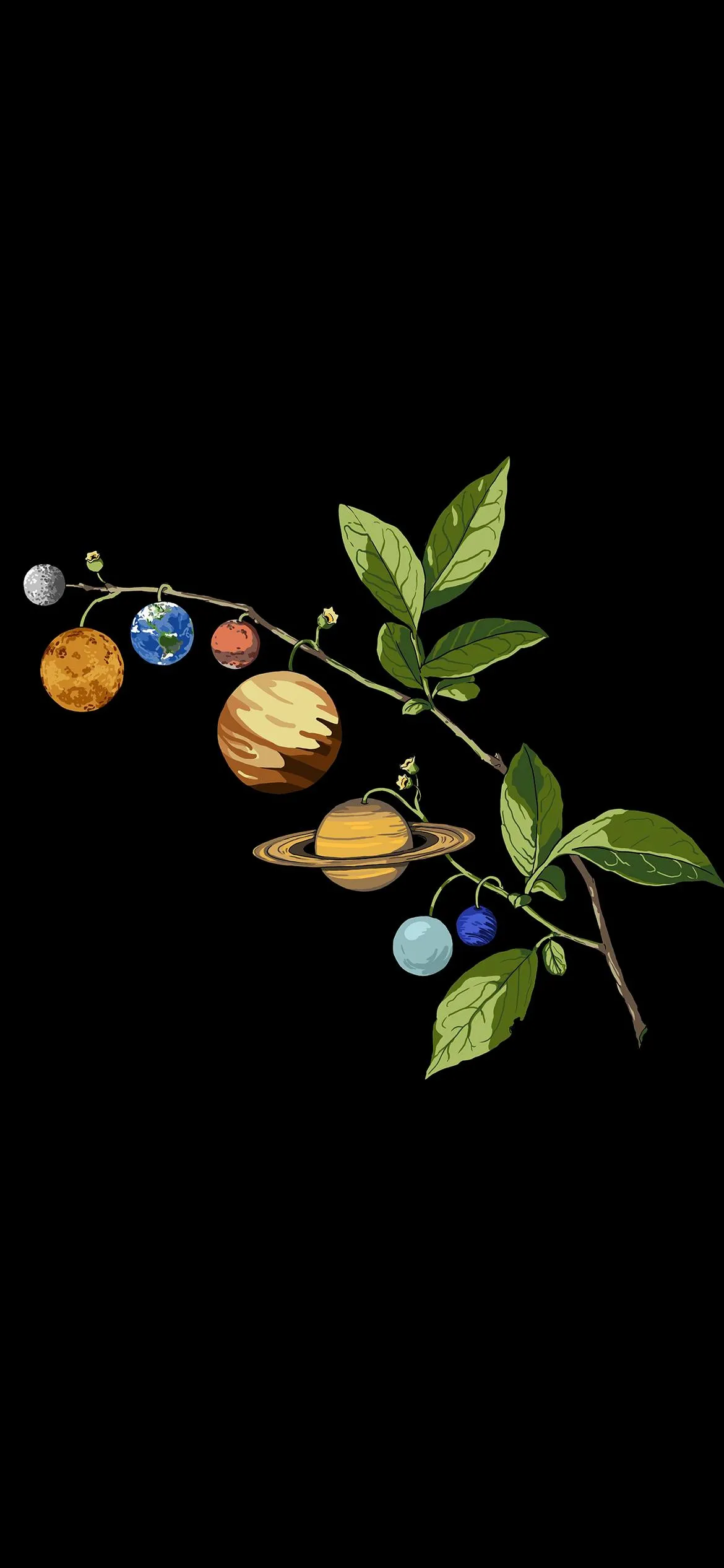 Simple Green Leaves With Small Orange Fruits Wallpaper