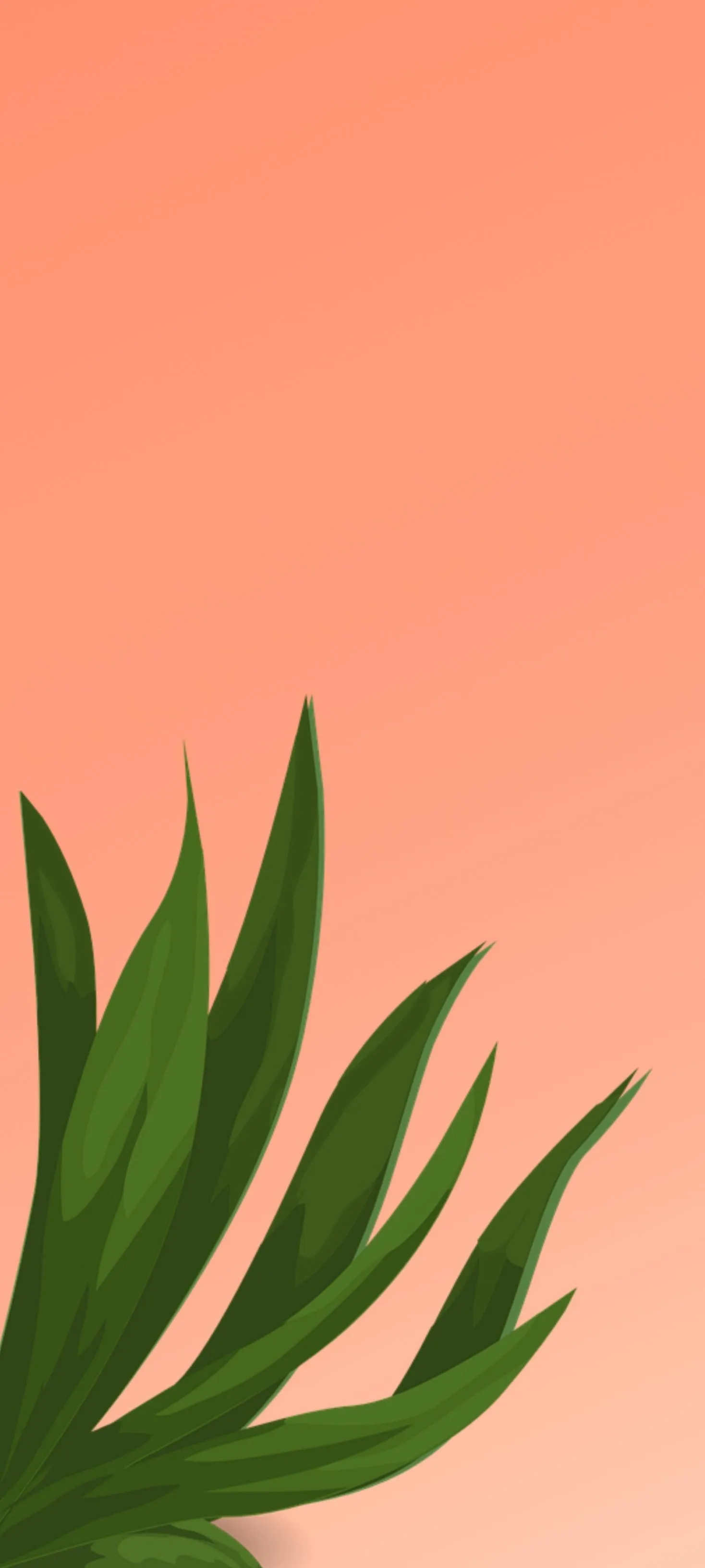 Simple Leaf Illustration on Peach Orange Background