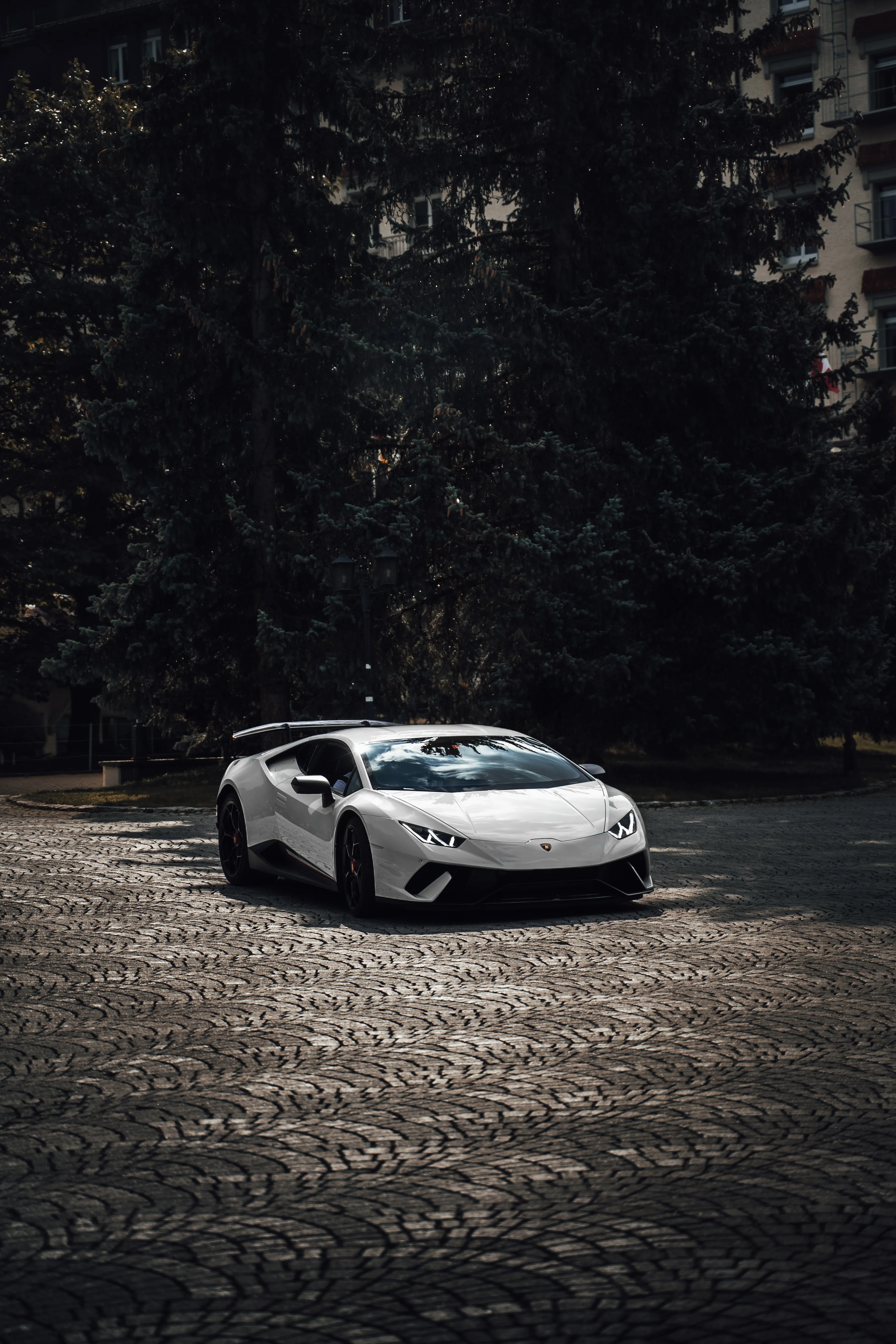 Sleek Sports Car Parked in Shadowy Natural Setting Image