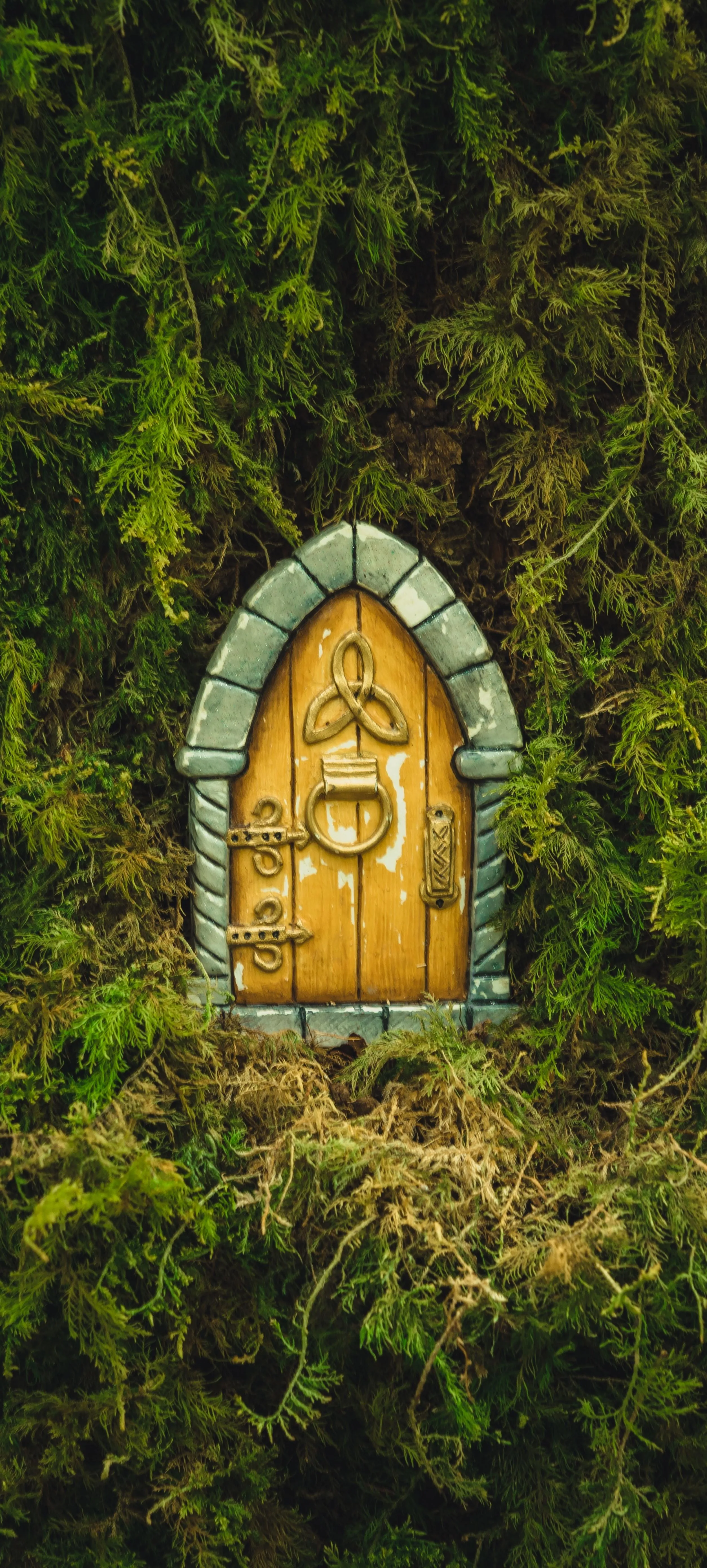 Small Wooden Door Hidden in Lush Greenery Wallpaper