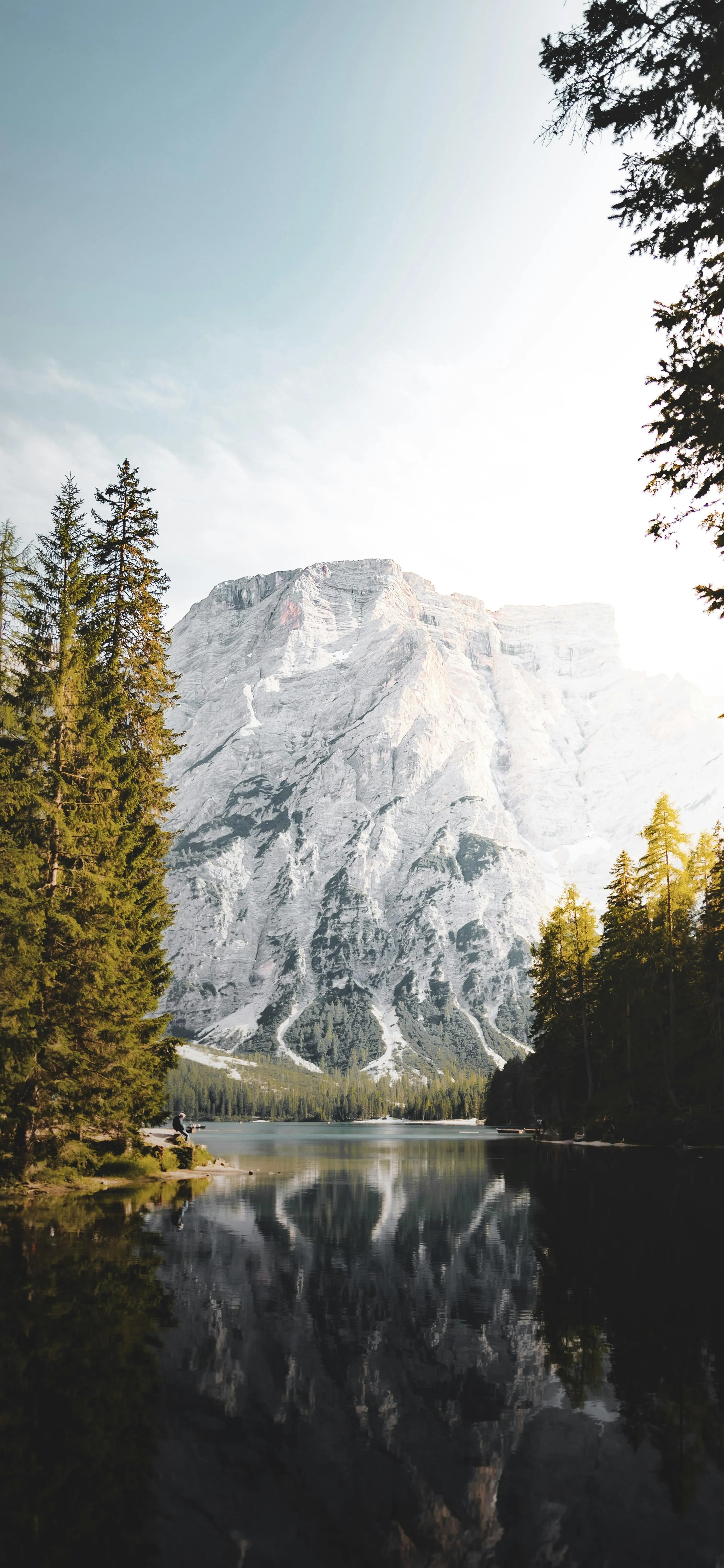 Snowy Mountains Reflected in Lake with Fall Trees Image