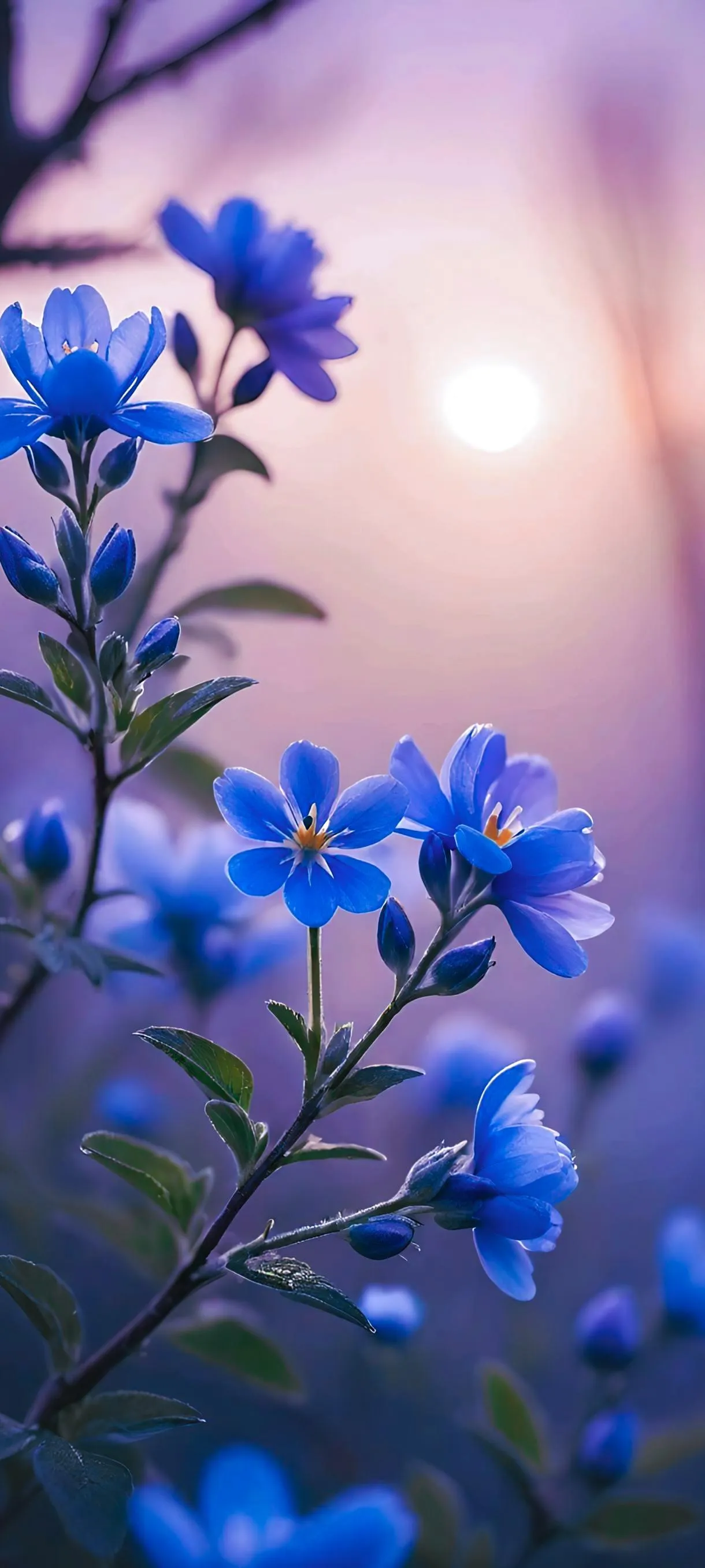 Soft Floral Background With Blue Petals in Light Wallpaper