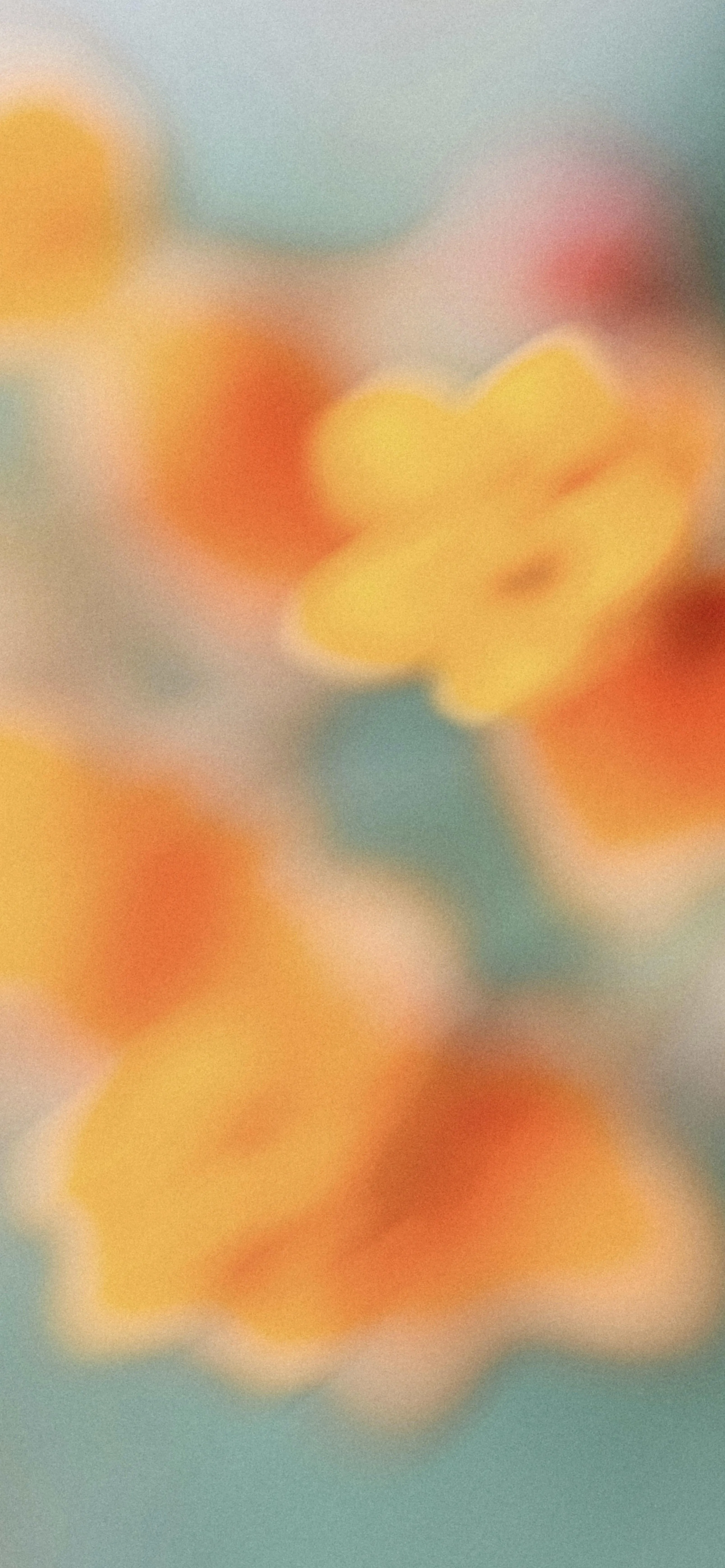 Soft Focus Close Up of Yellow and Orange Flowers Wallpaper