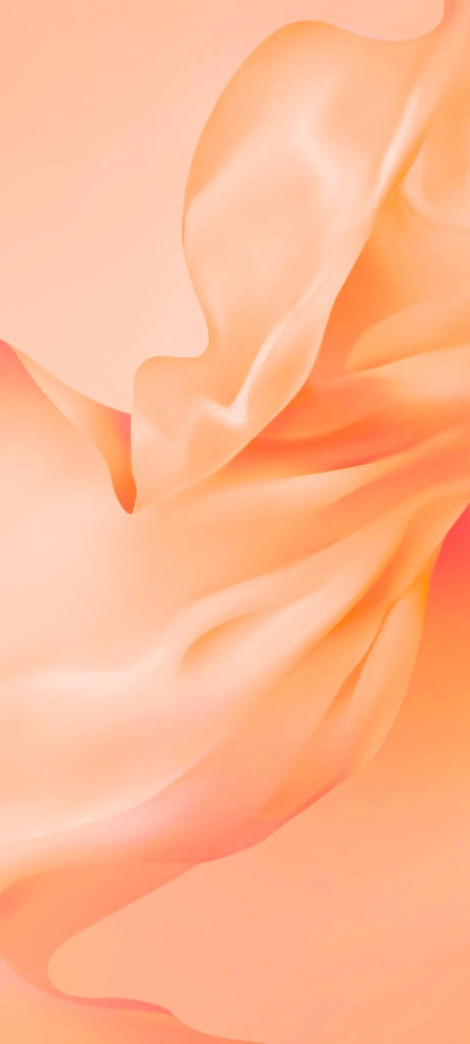Soft Peach Floral Petals Close-Up Elegant Mobile Wallpaper