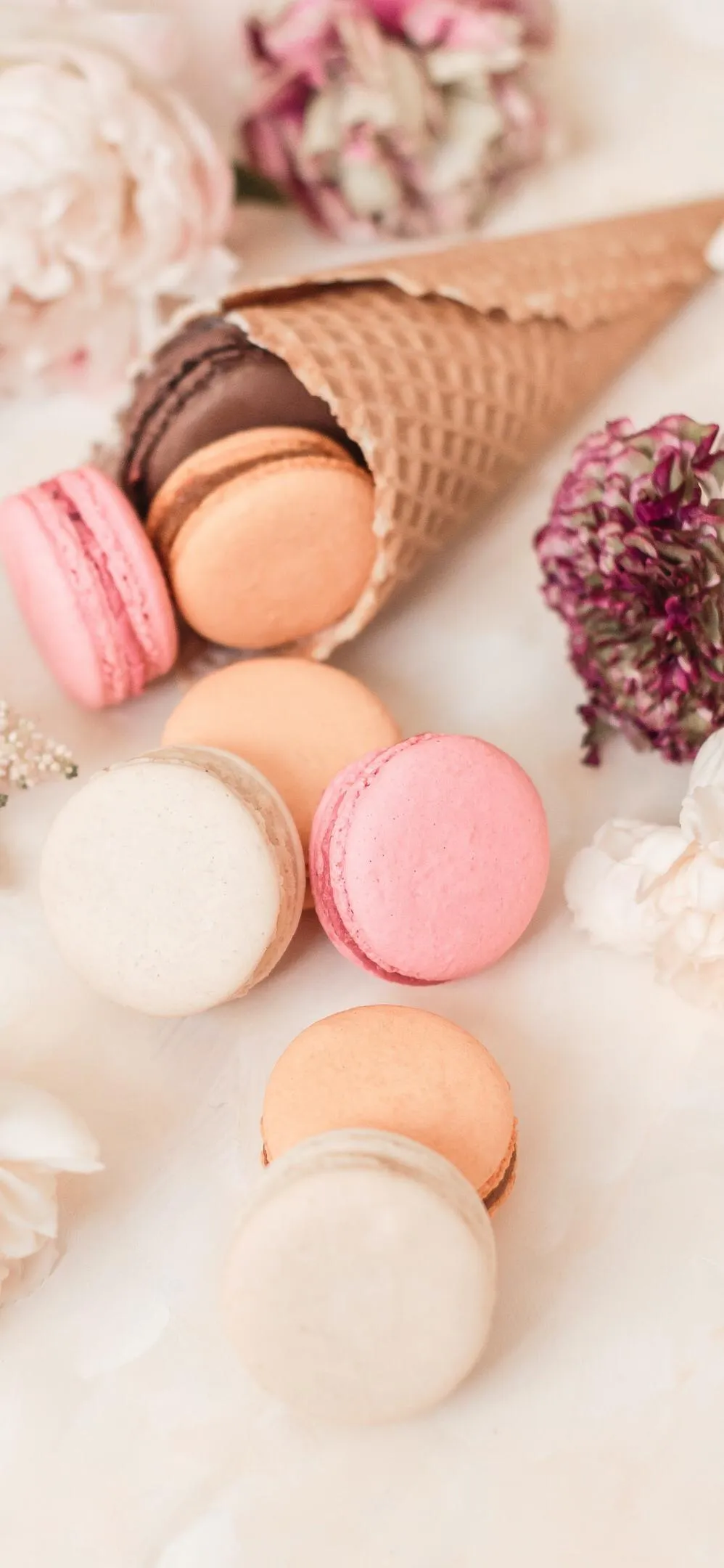 Soft Pink Macarons on Table with Sweet Minimal Style