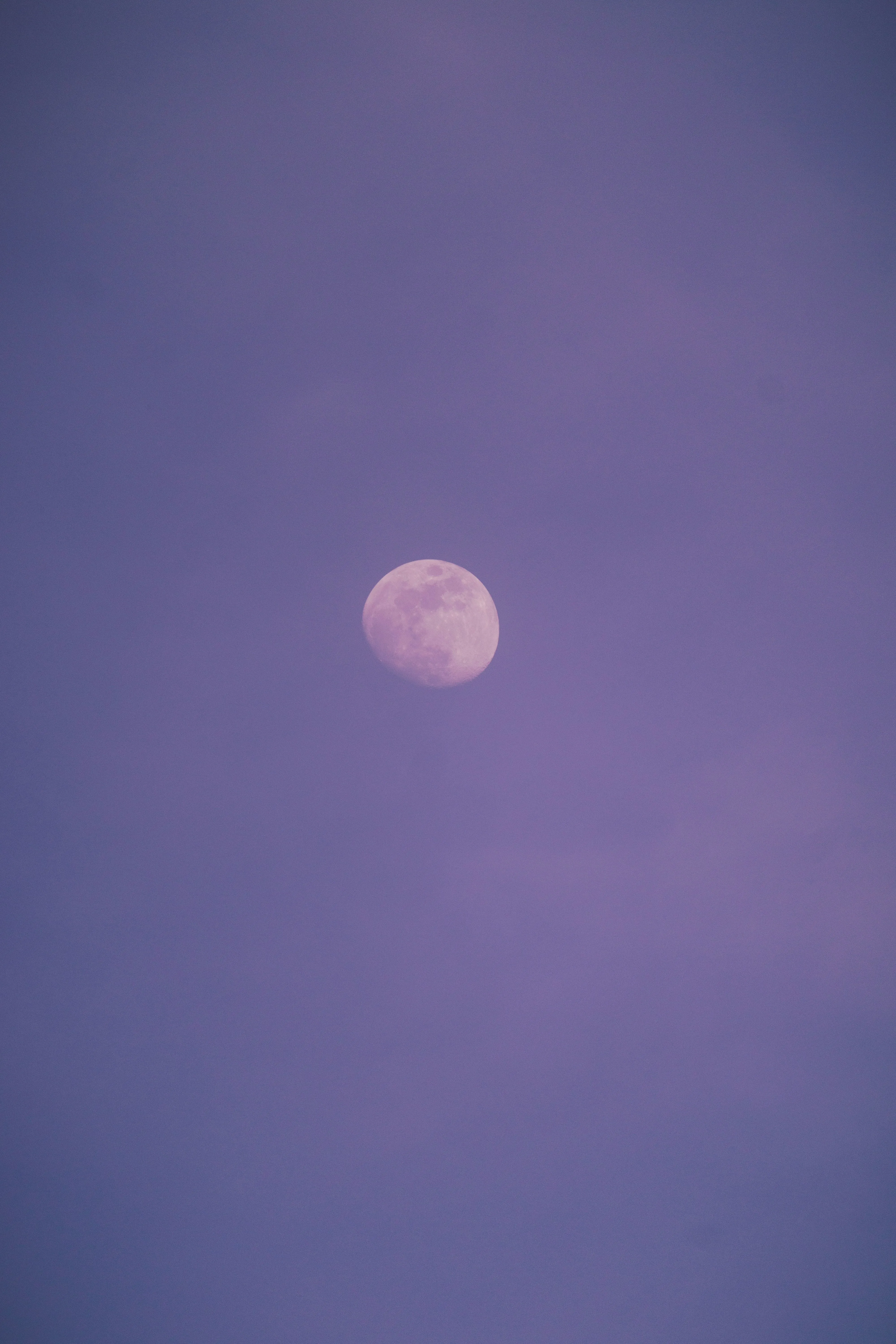 Soft Purple Evening Sky with Rising Moon View Wallpaper