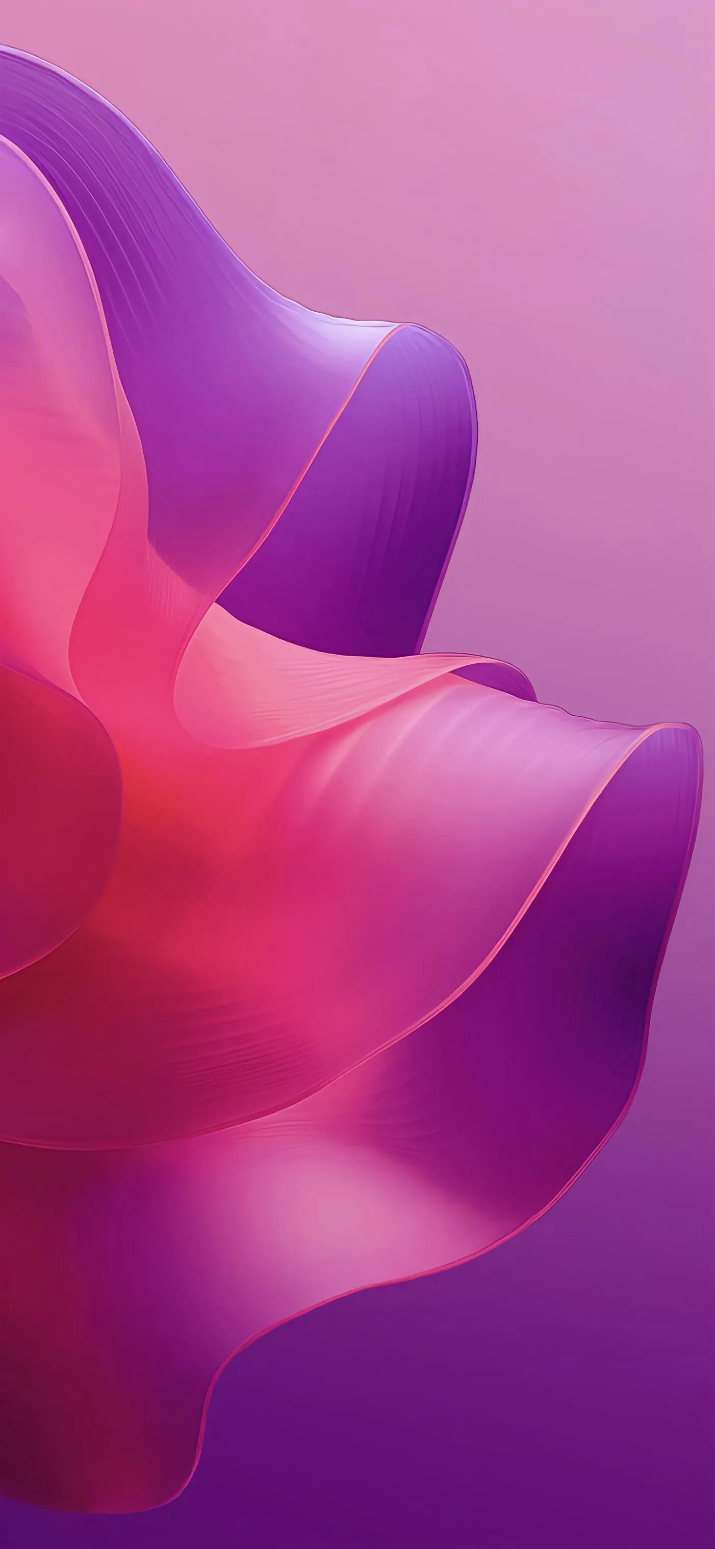 Soft Purple Flower Petals with Dreamy Gradient Wallpaper