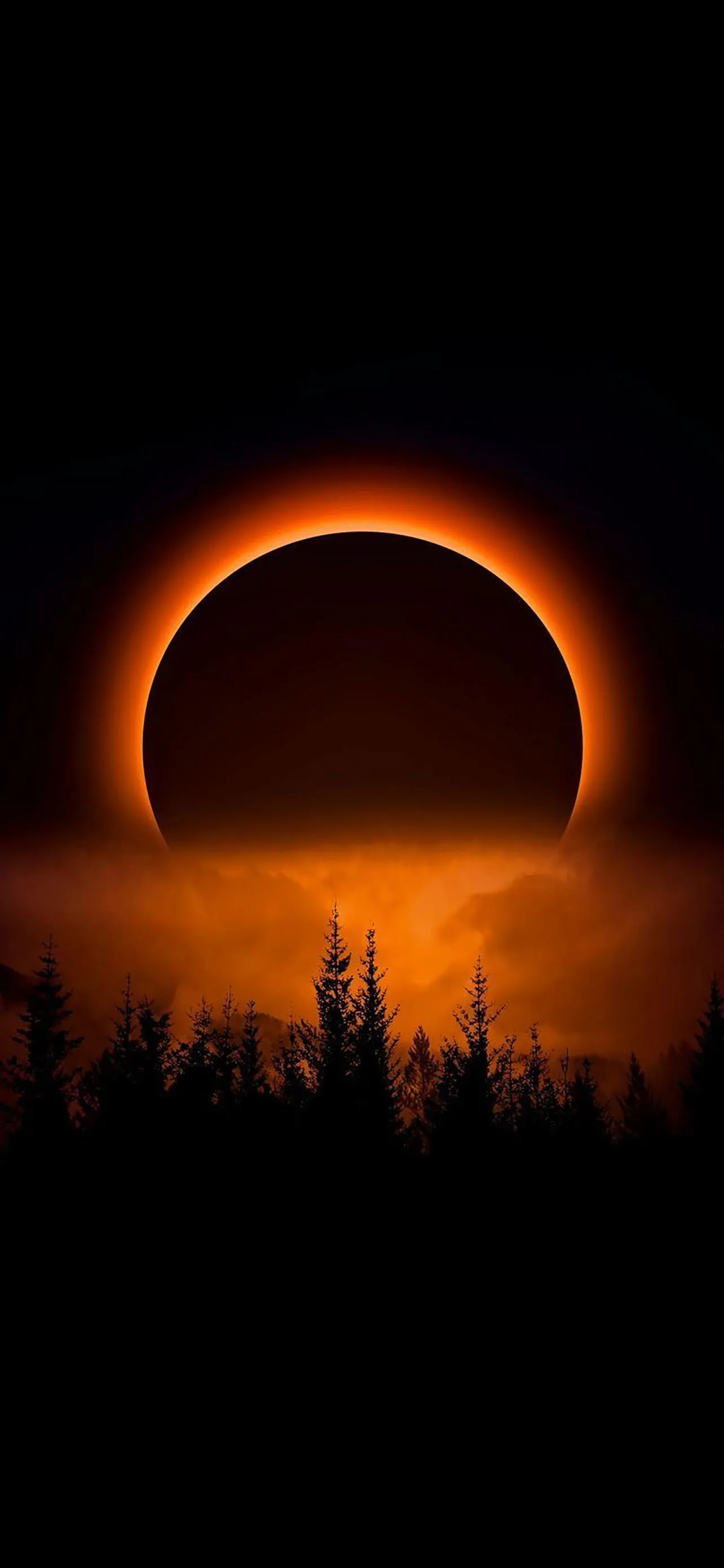 Solar Eclipse Glow Over Forest Silhouette Scene Wallpaper
