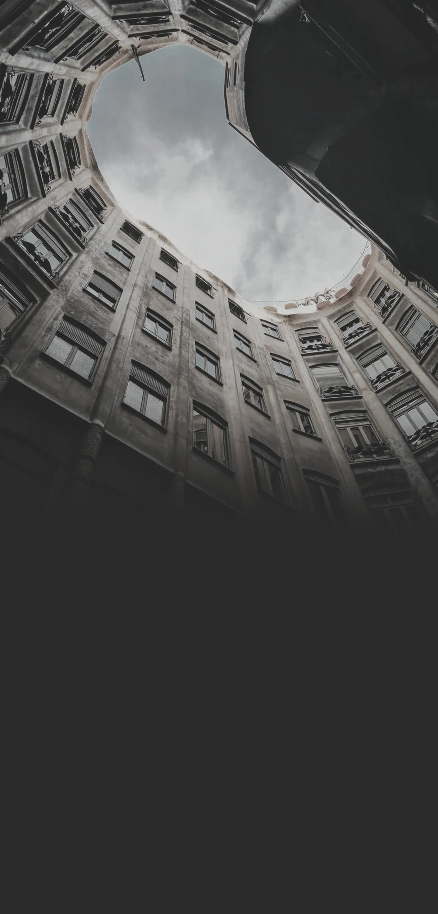 Spider Web Pattern Design Mobile Wallpaper Dark Theme