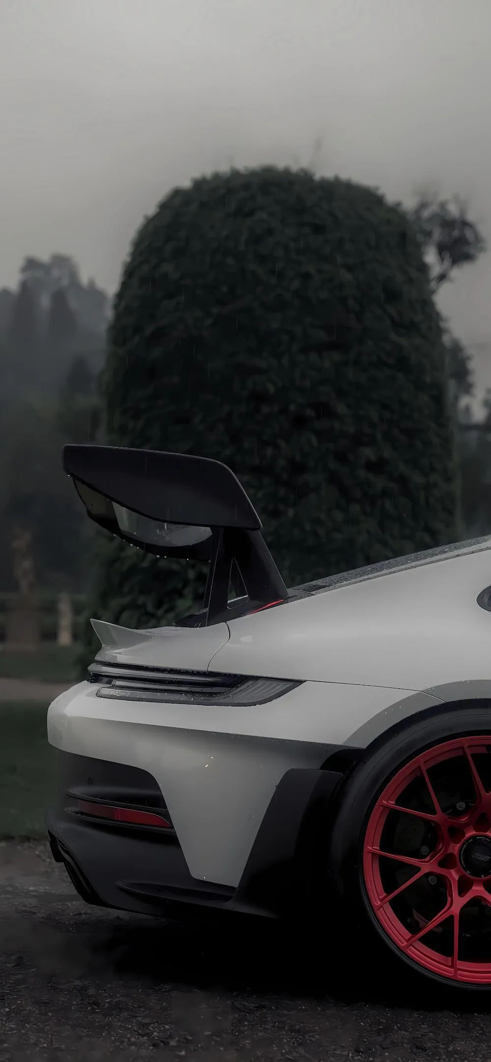 Sports Car Parked Beside Trees on a Cloudy Morning