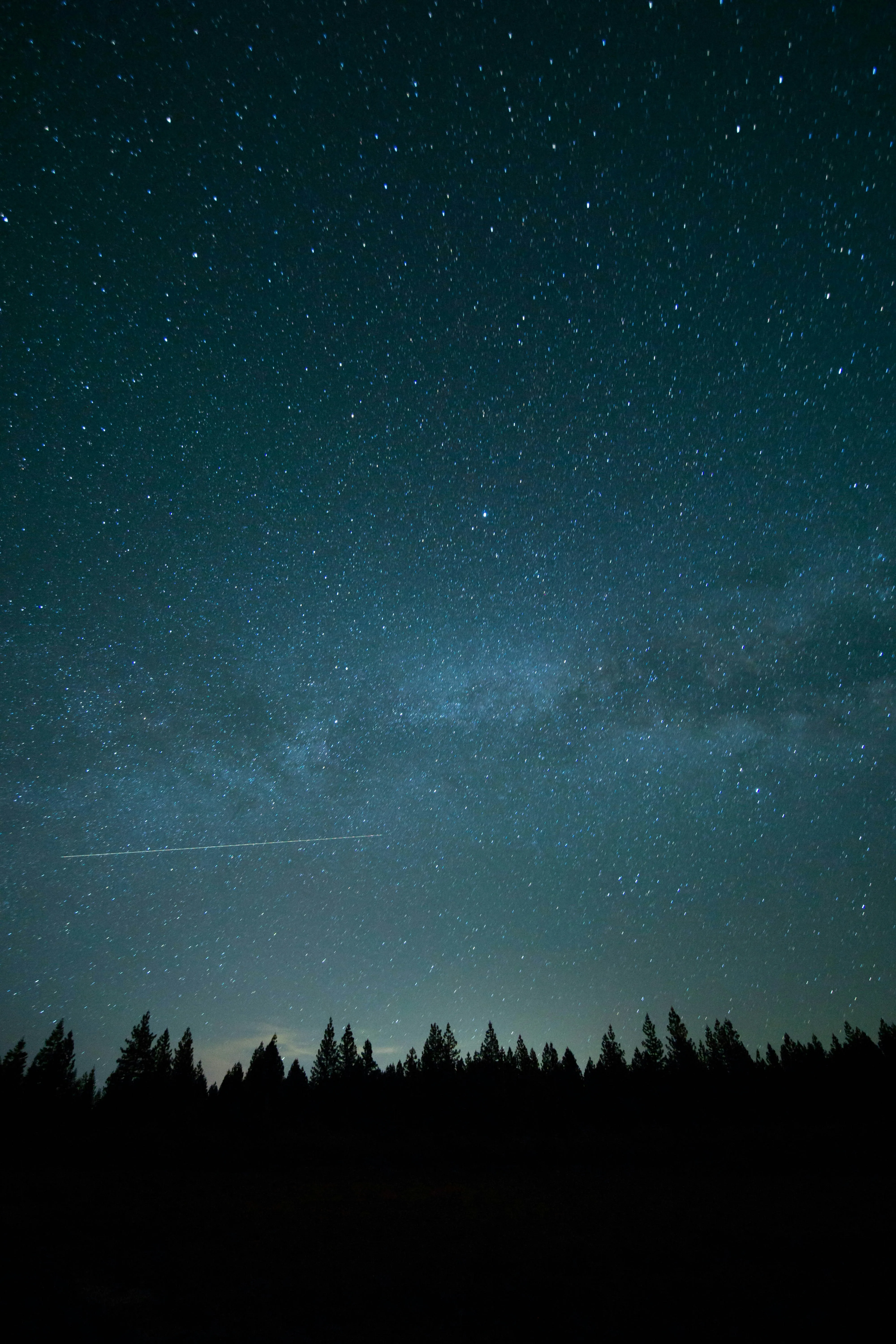 Starry Night Sky Above Dark Forest Horizon Wallpaper