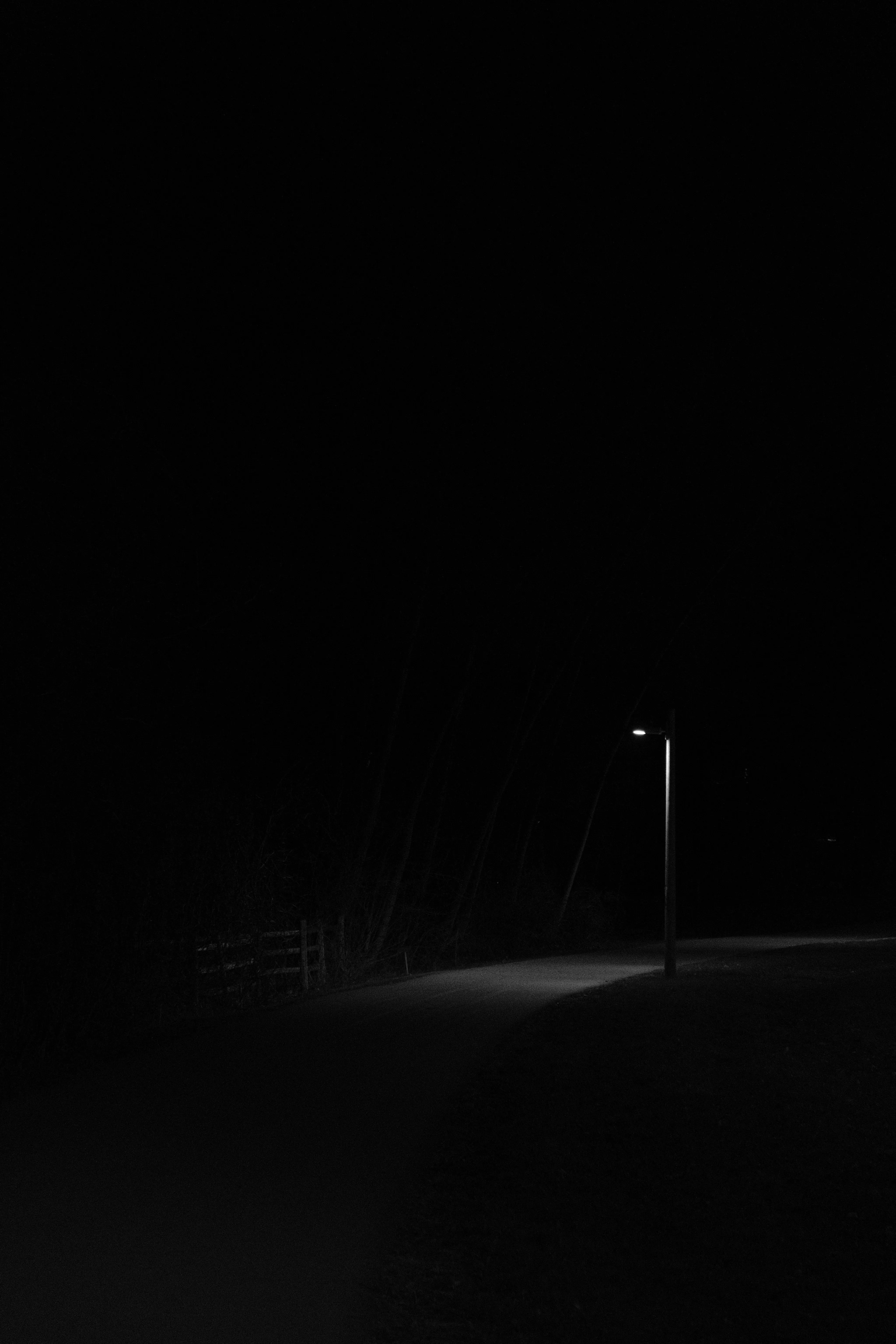 Street Lamp Illuminating Darkness in Empty Road Image