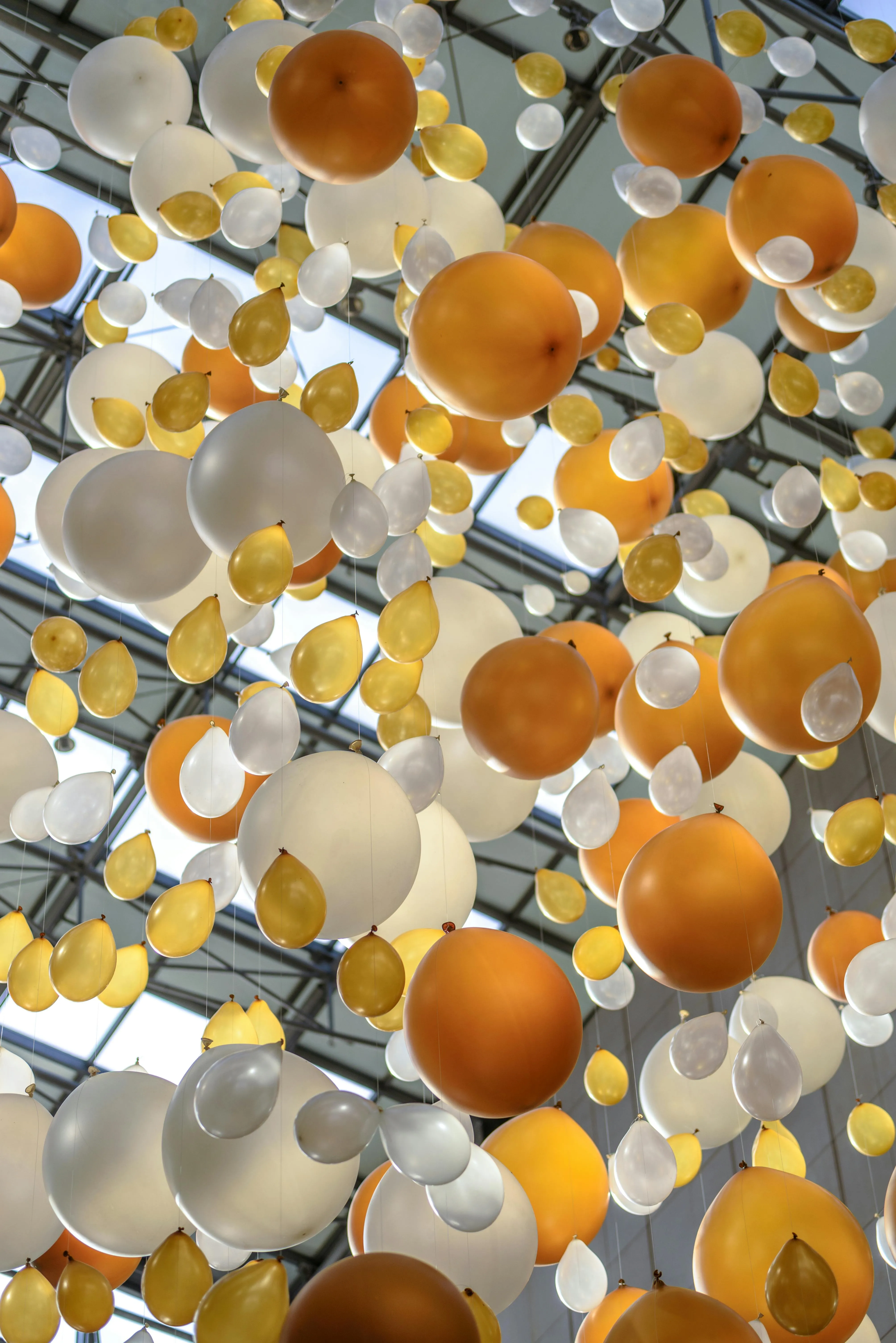 Stunning Ceiling Display of Golden and White Balloons